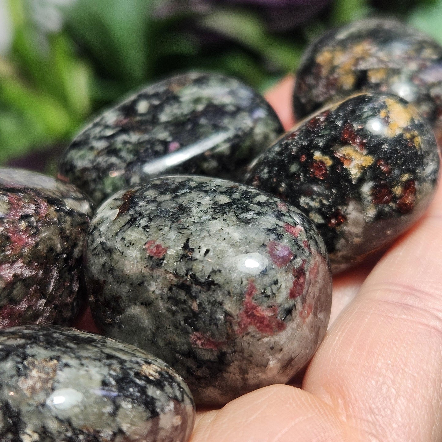 Eudialyte Crystal / Polished Eudialyte / Tumbled Eudialyte / Eudialyte Stone / UV Reactive / Rare Crystal / Polished Crystal / Heart Chakra