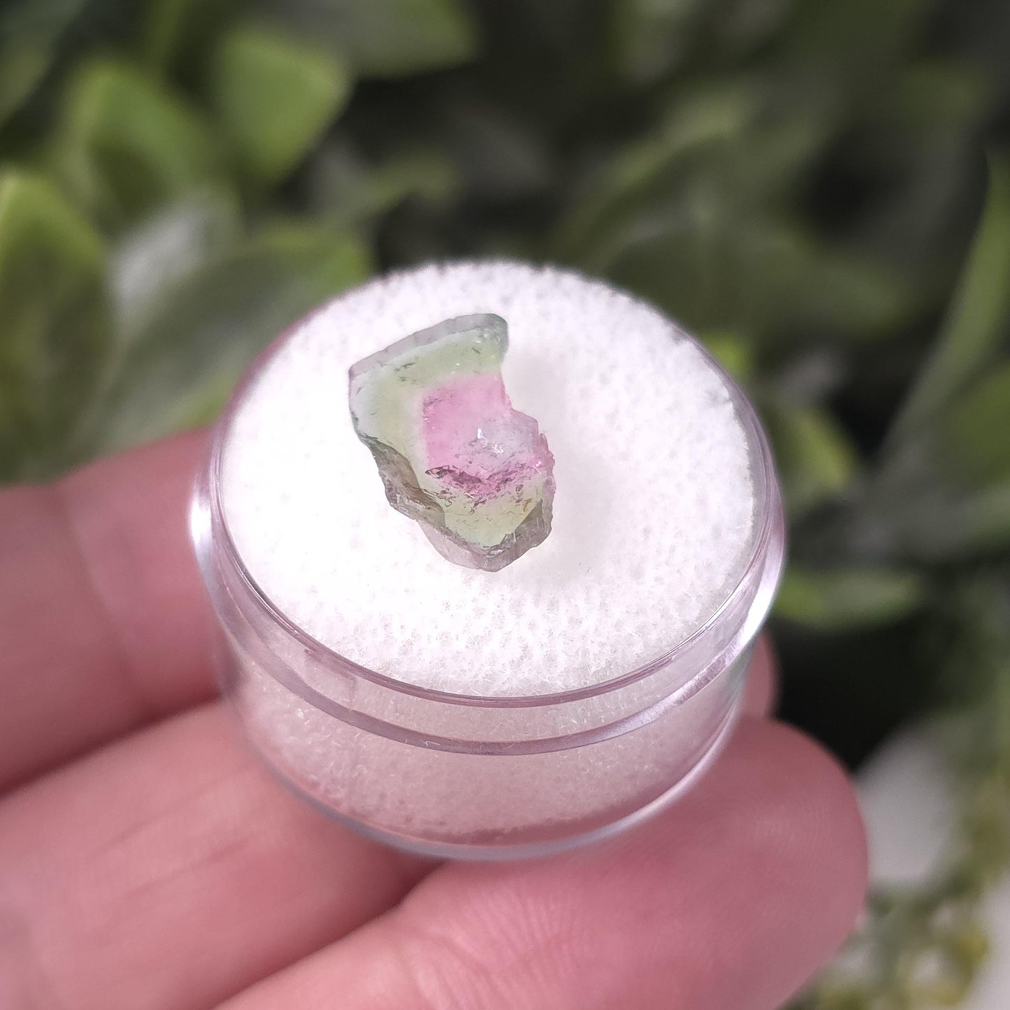 Watermelon Tourmaline Slice