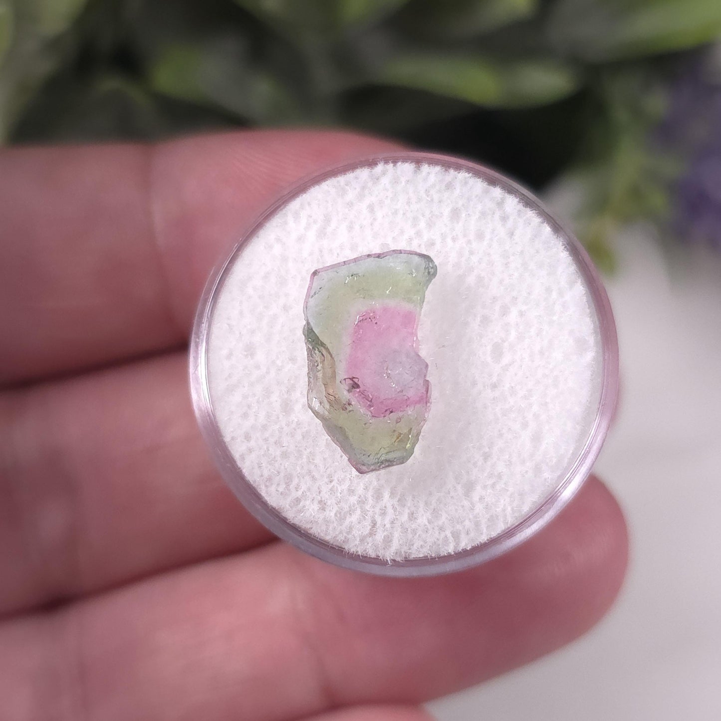 Watermelon Tourmaline Slice