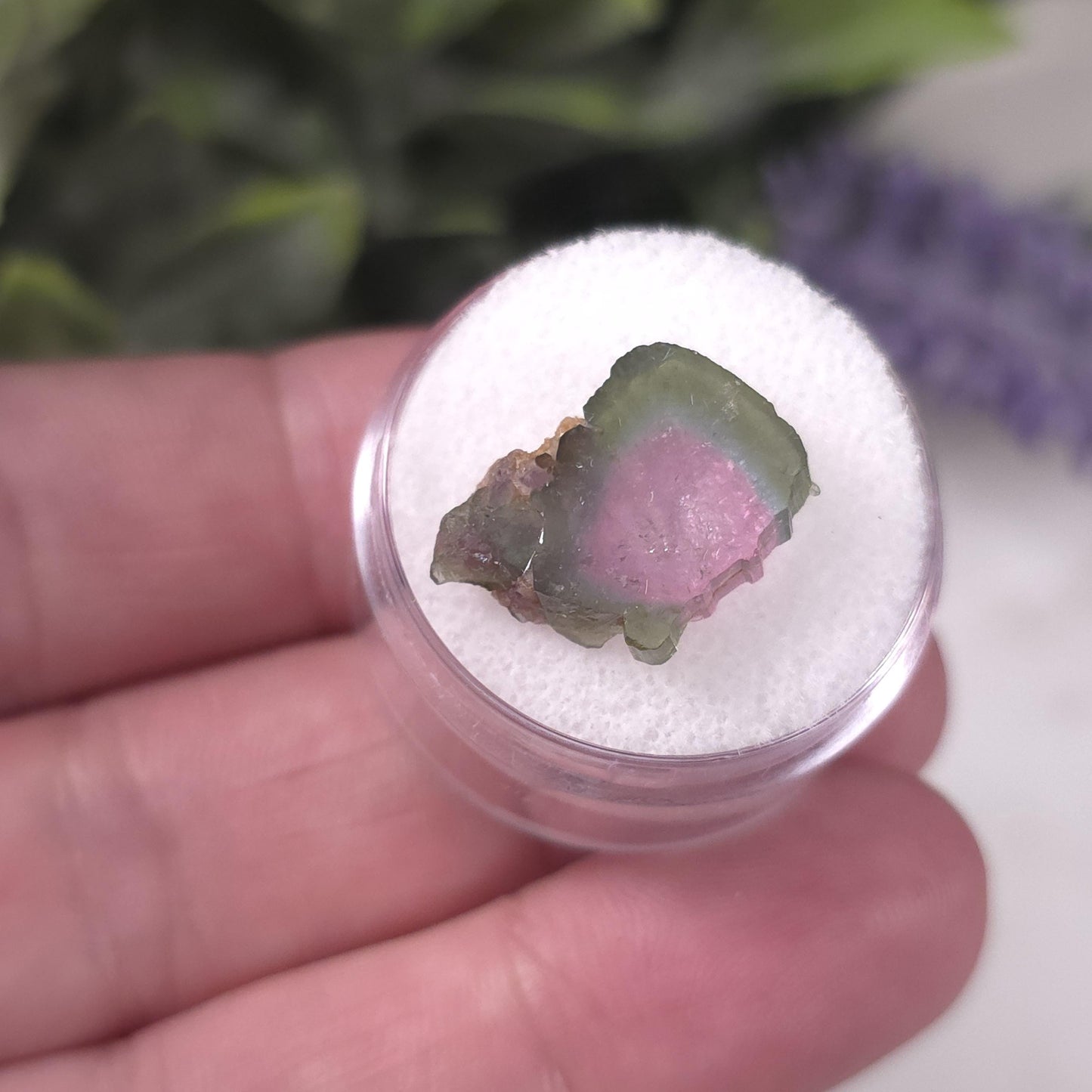 Watermelon Tourmaline Slice
