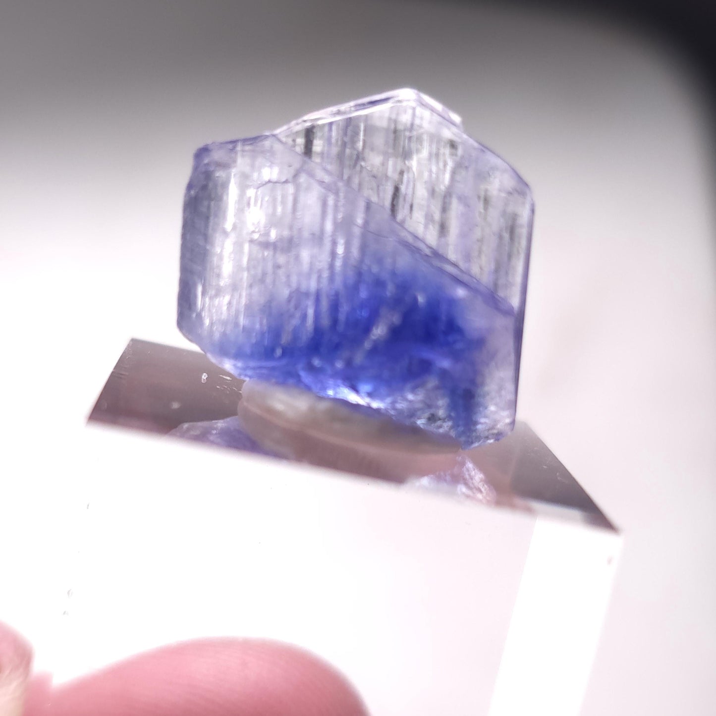 Bicolored Tanzanite Crystal