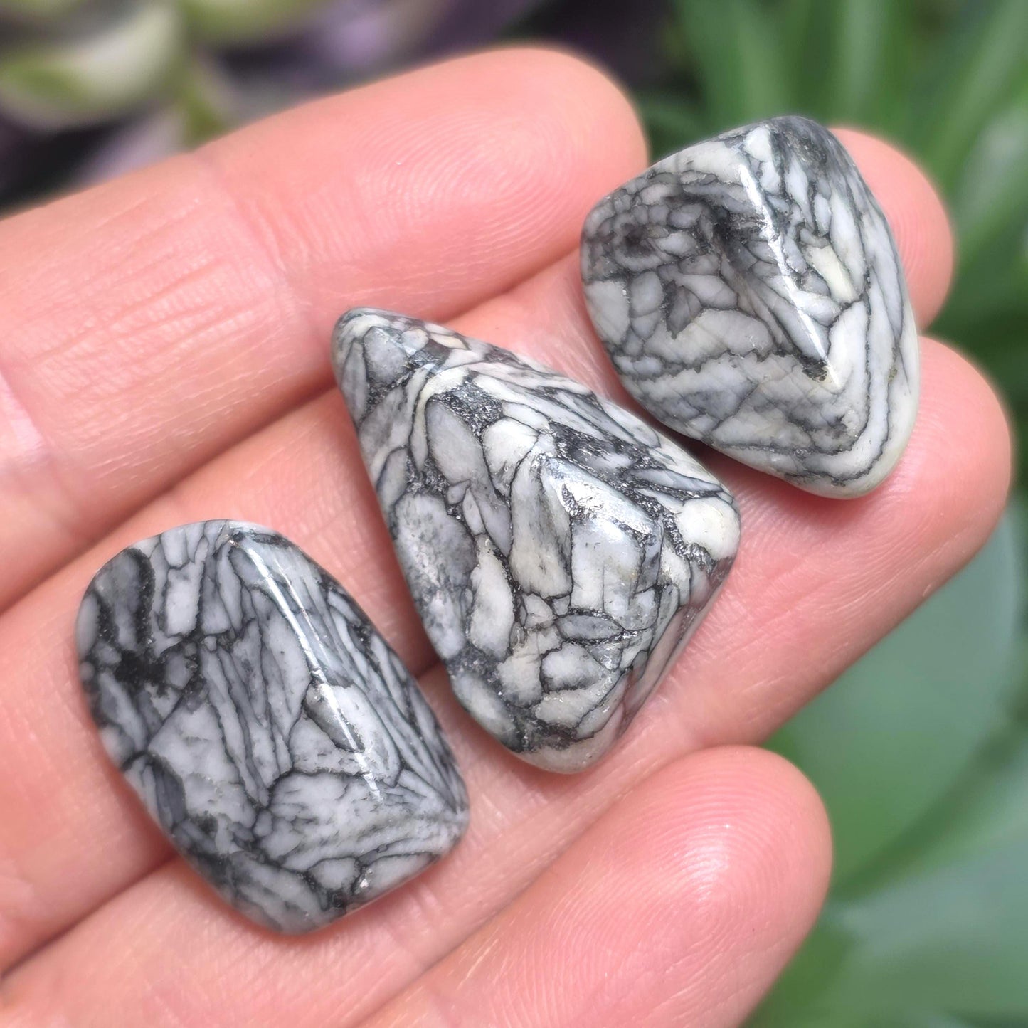 Pinolith Crystal