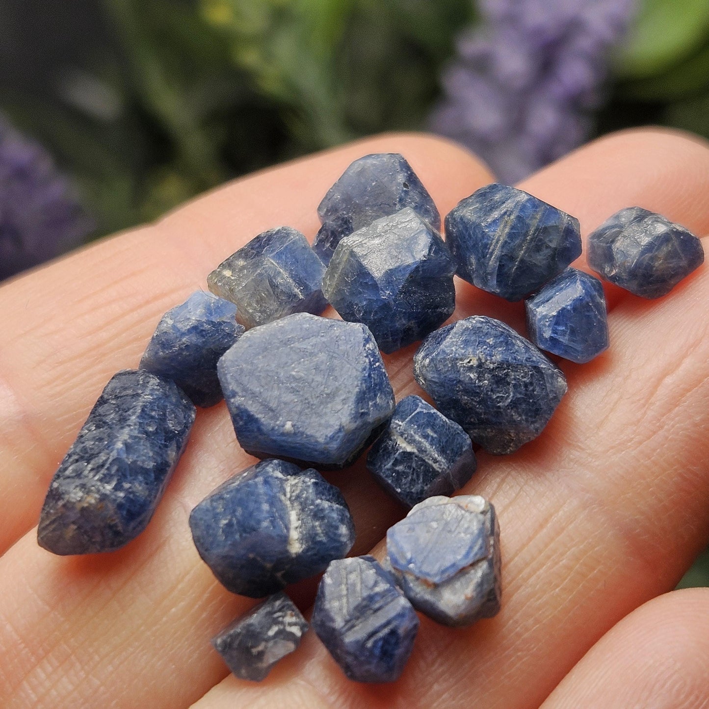 Himalayan Sapphire