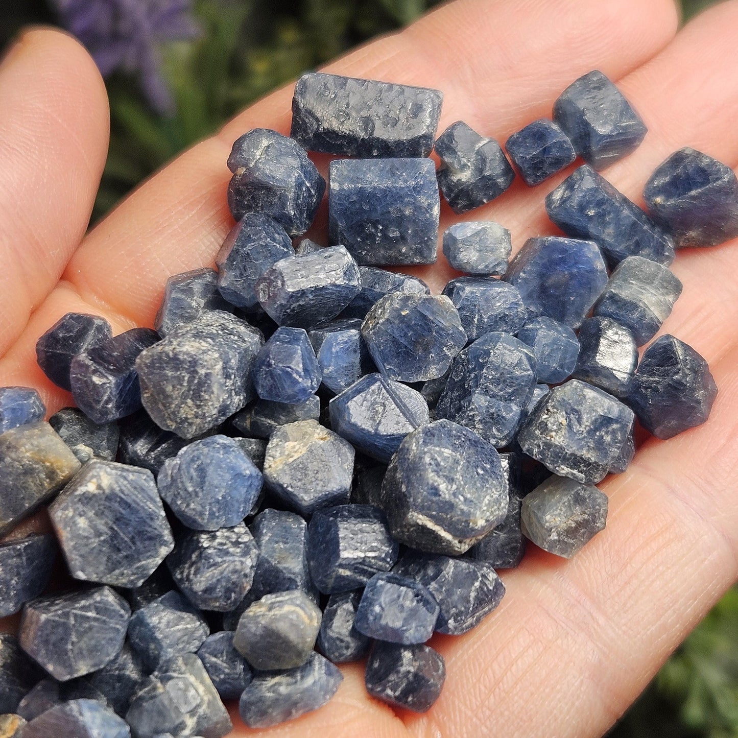 Himalayan Sapphire