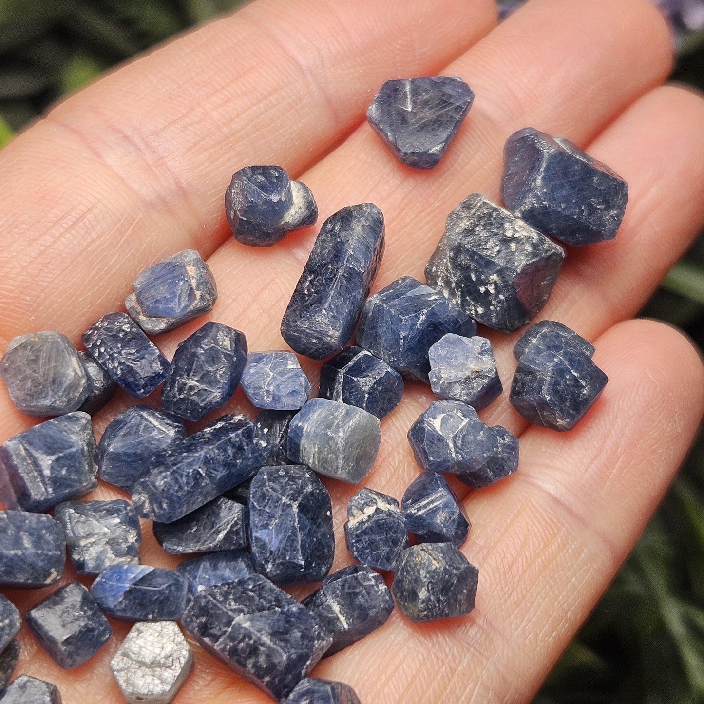 Himalayan Sapphire