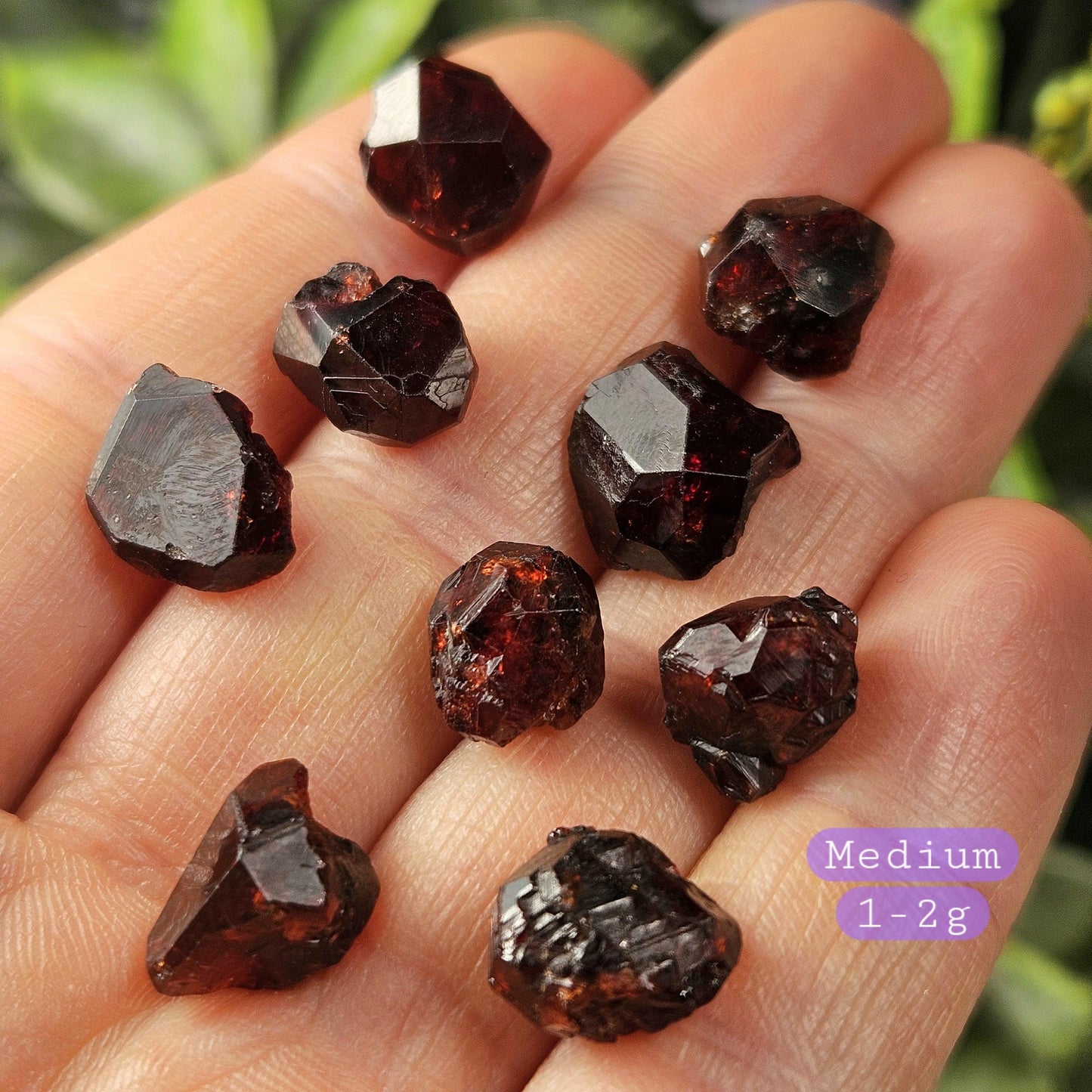 Natural Garnet Crystal