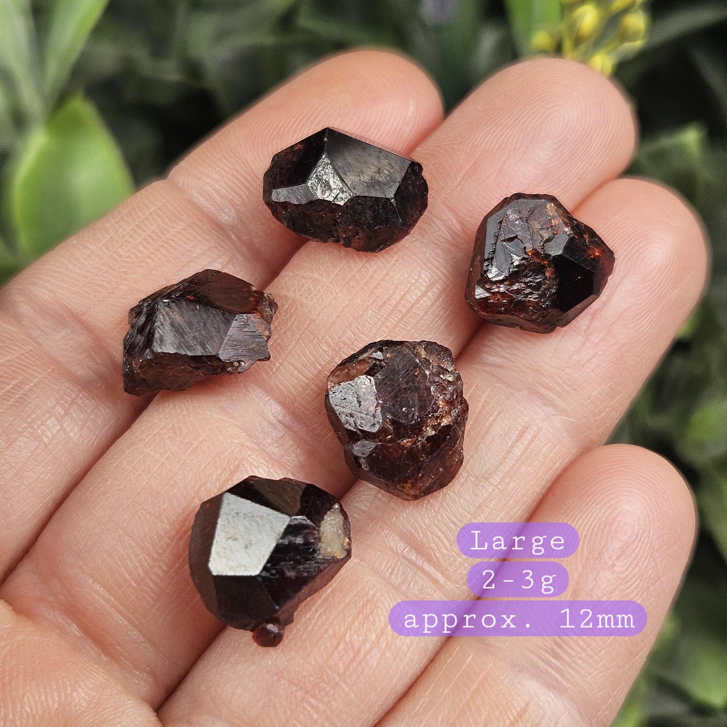 Natural Garnet Crystal