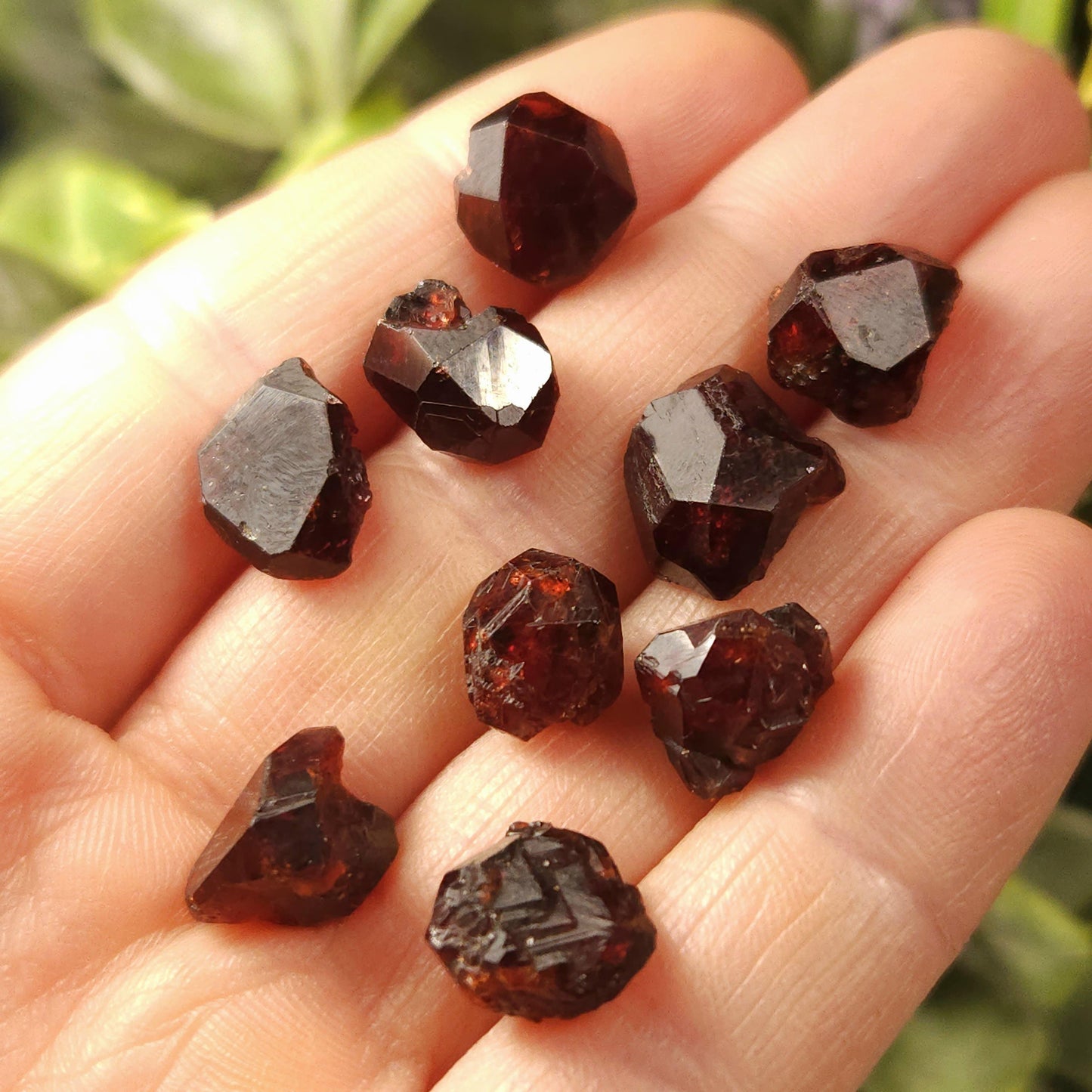 Natural Garnet Crystal