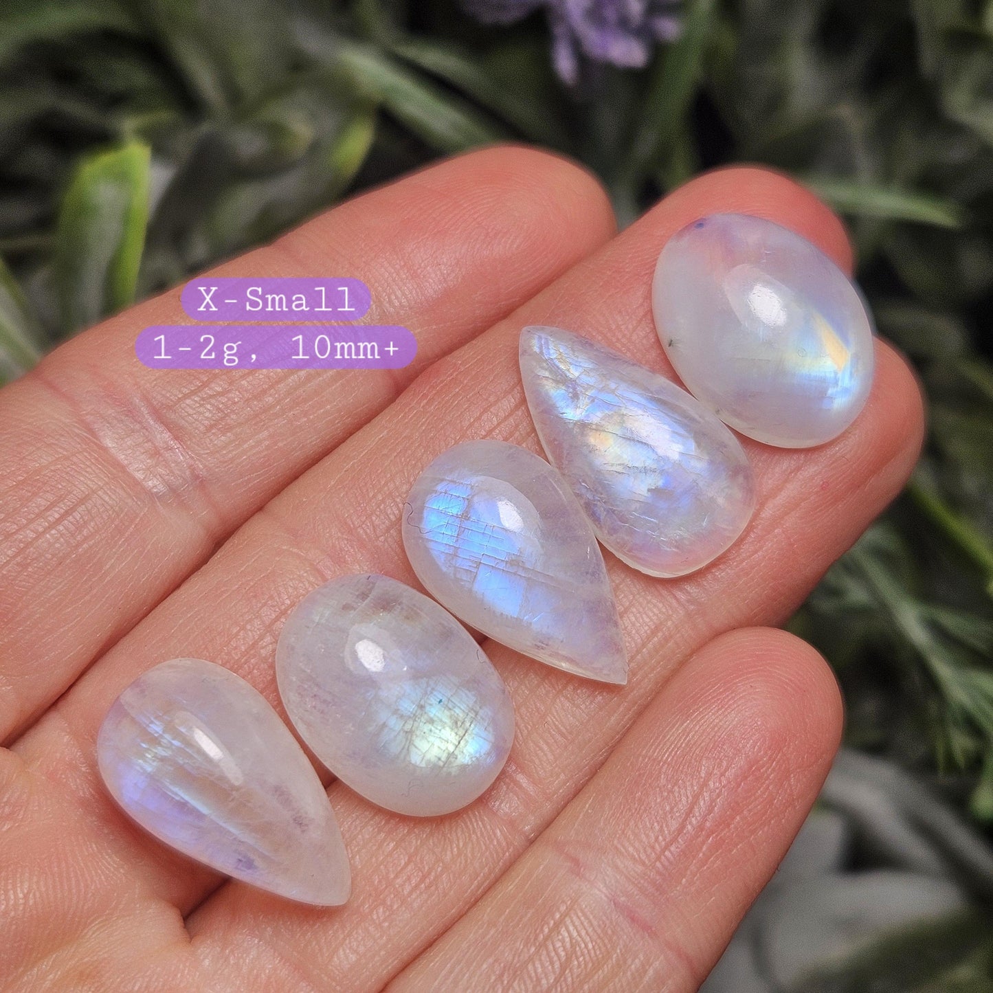Rainbow Moonstone