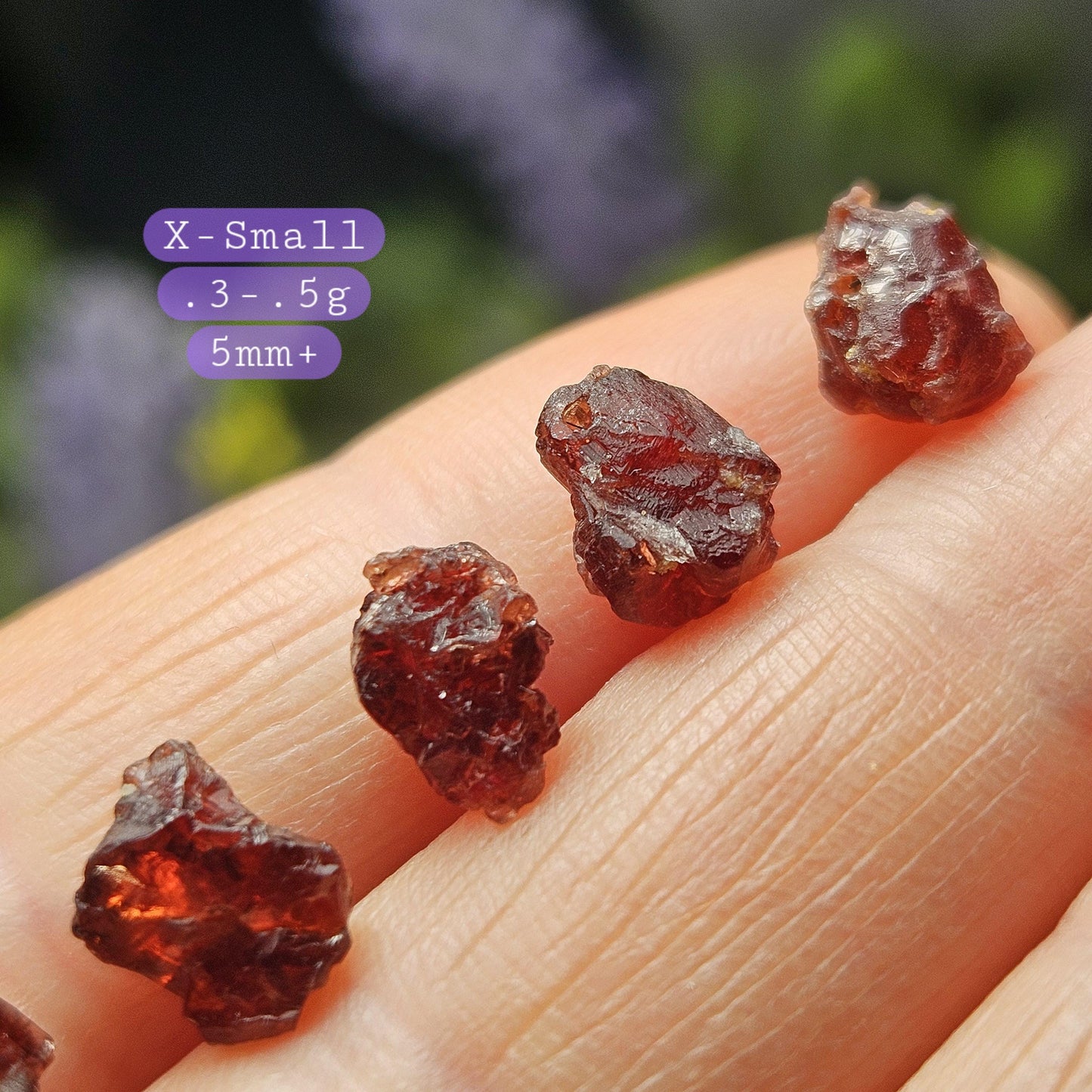 Himalayan Alpine Garnet