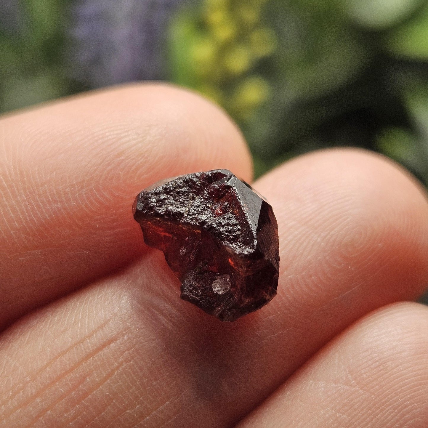 Himalayan Alpine Garnet