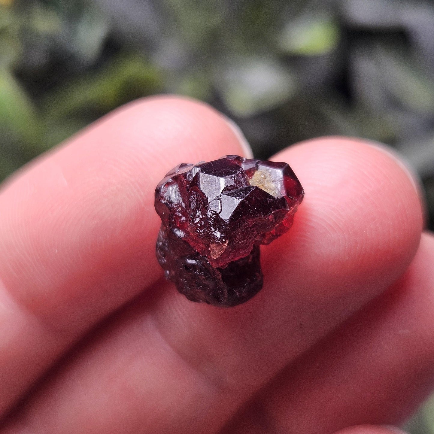 Himalayan Alpine Garnet
