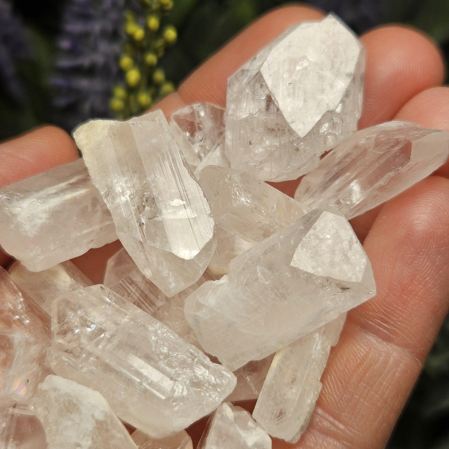 Pink Danburite Crystal