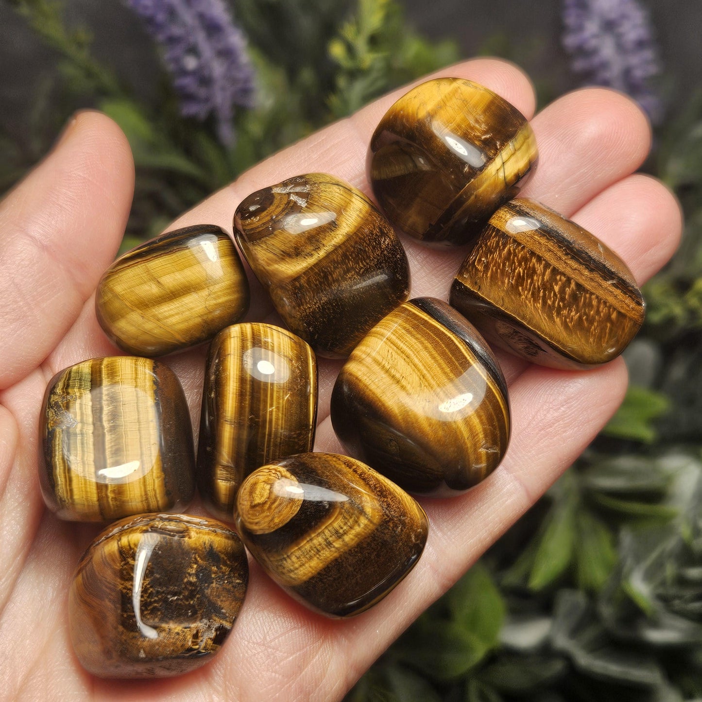 Tigers Eye Tumbled Stone