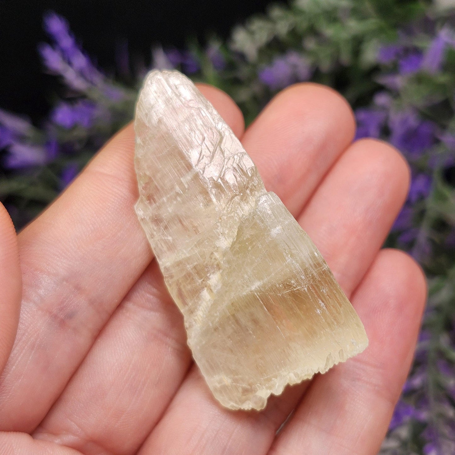 Golden Kunzite Terminated Crystal 24g