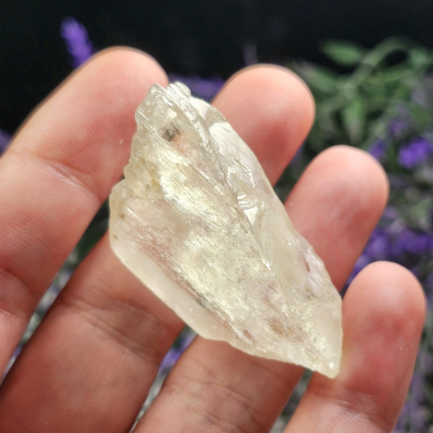 Golden Kunzite Crystal