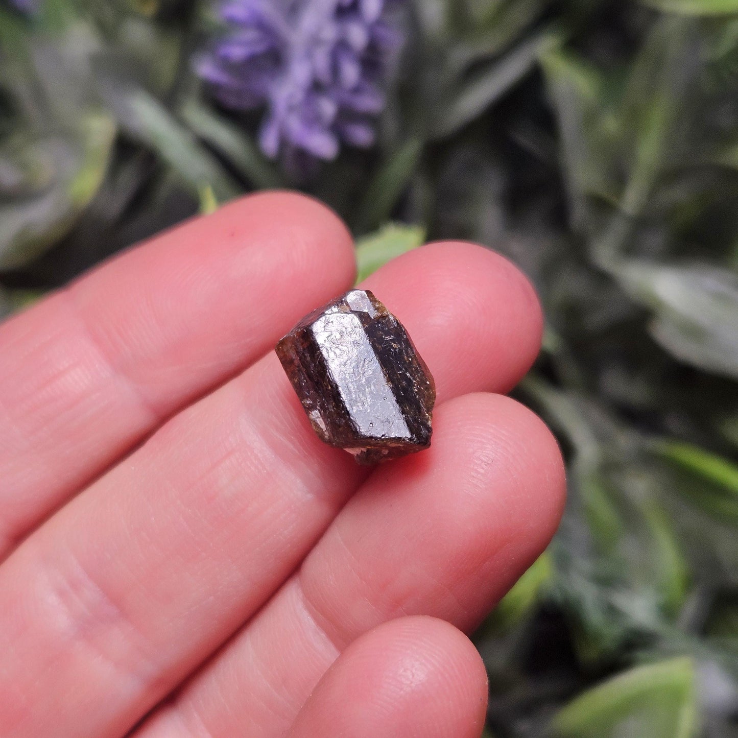 Raw Rootbeer Tourmaline