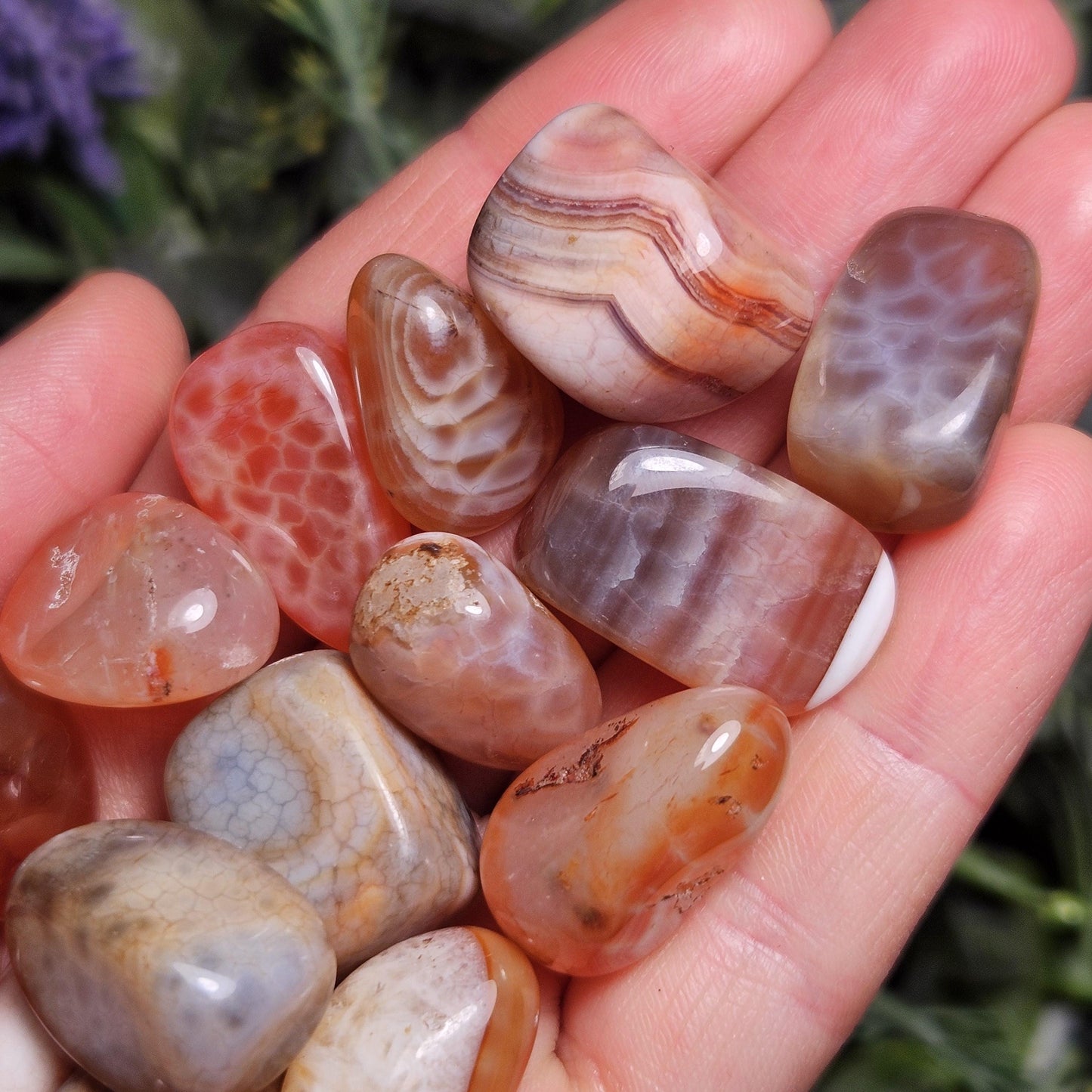 Dragon Scale Agate