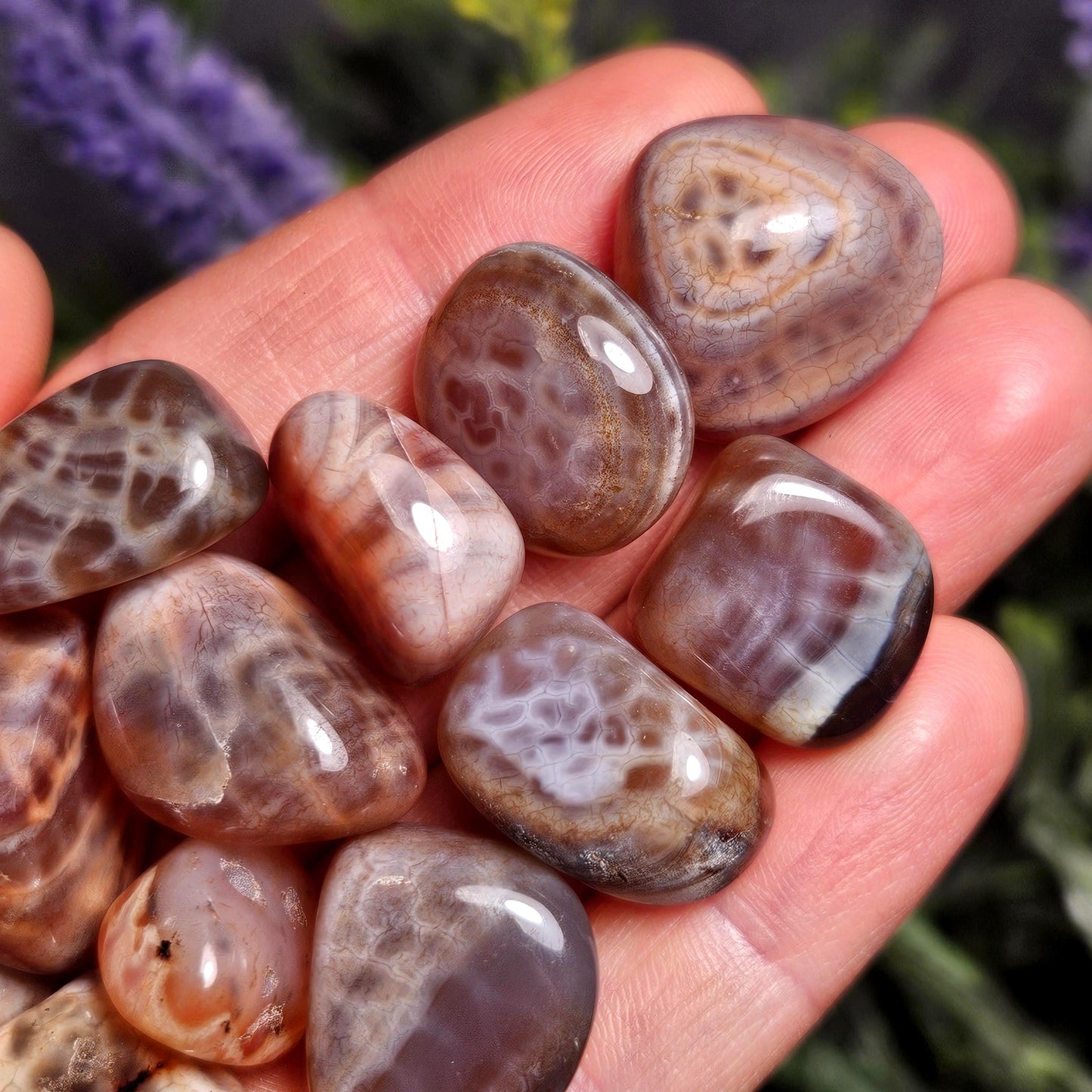 Dragon Scale Agate