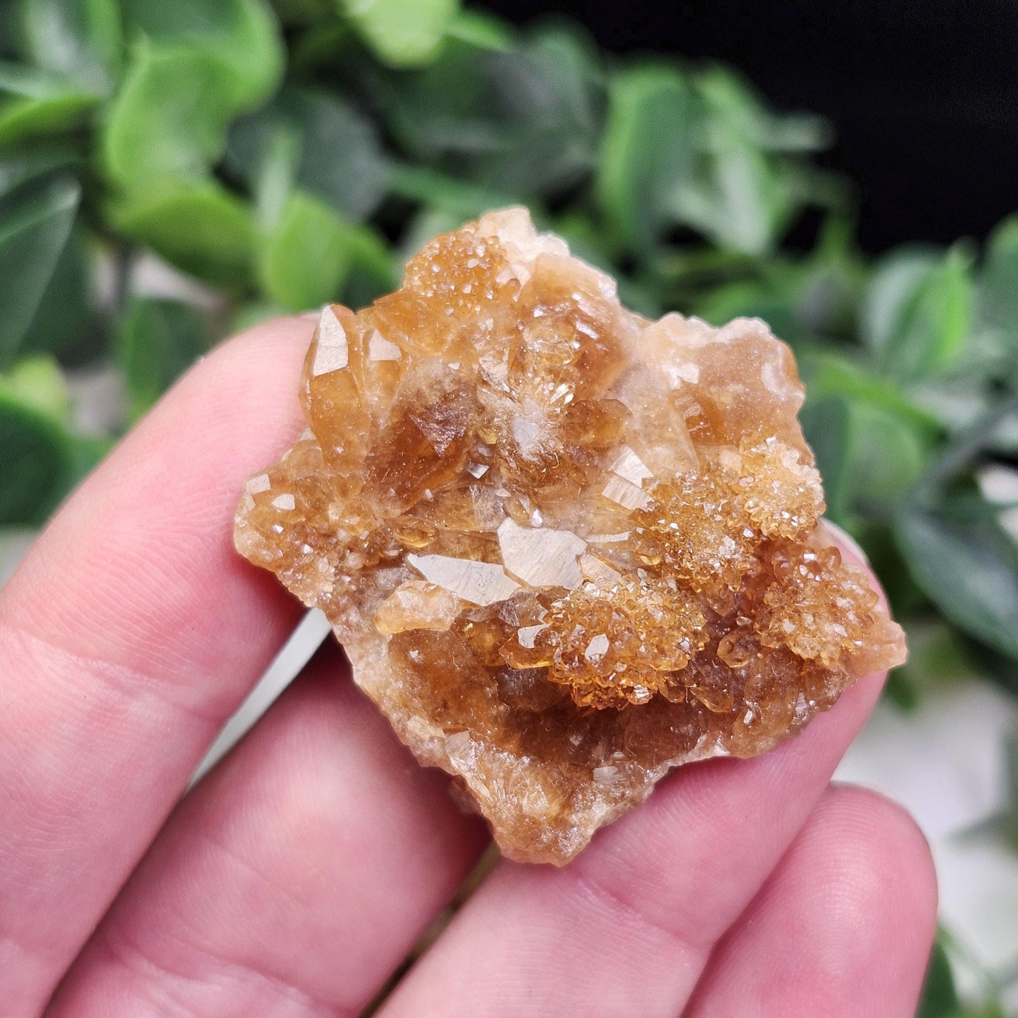 Raw Untreated Citrine Cluster