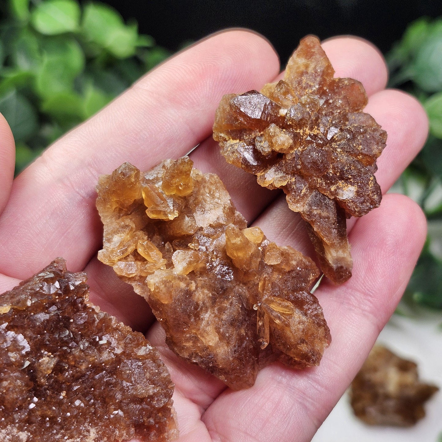 Raw Untreated Citrine Cluster