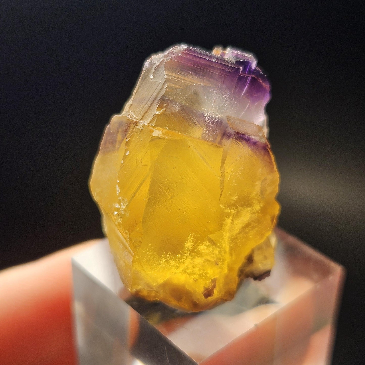 Purple & Yellow Bicolor Fluorite