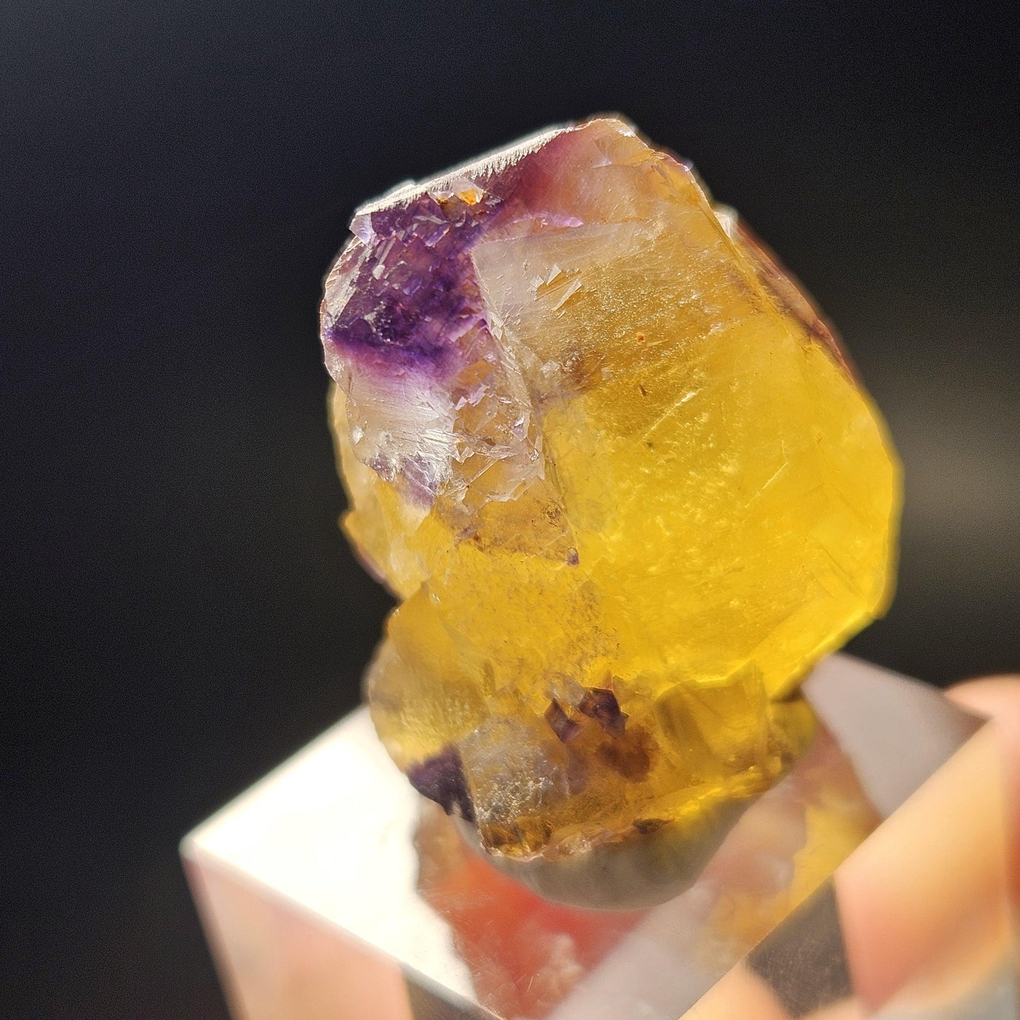 Purple & Yellow Bicolor Fluorite