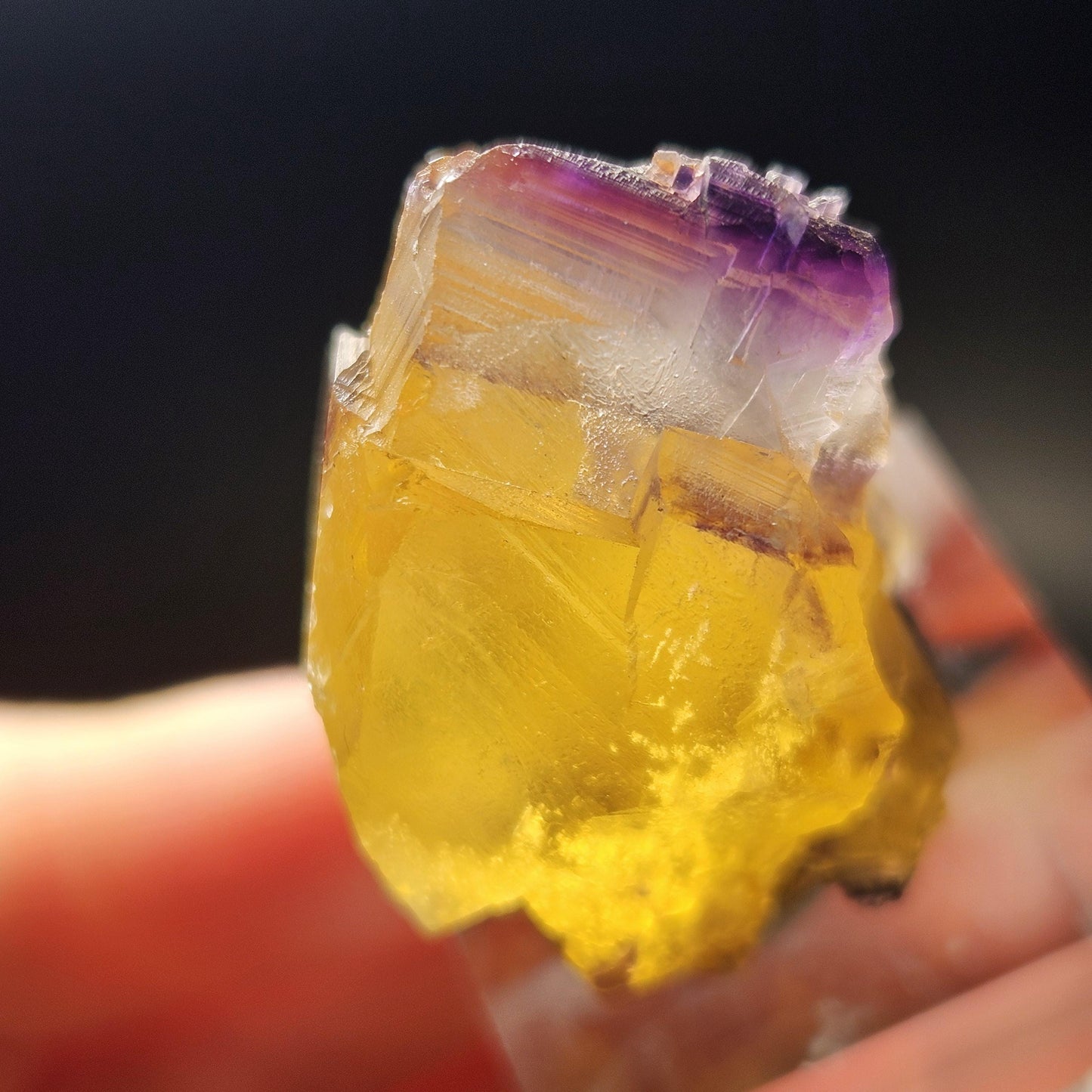 Purple & Yellow Bicolor Fluorite