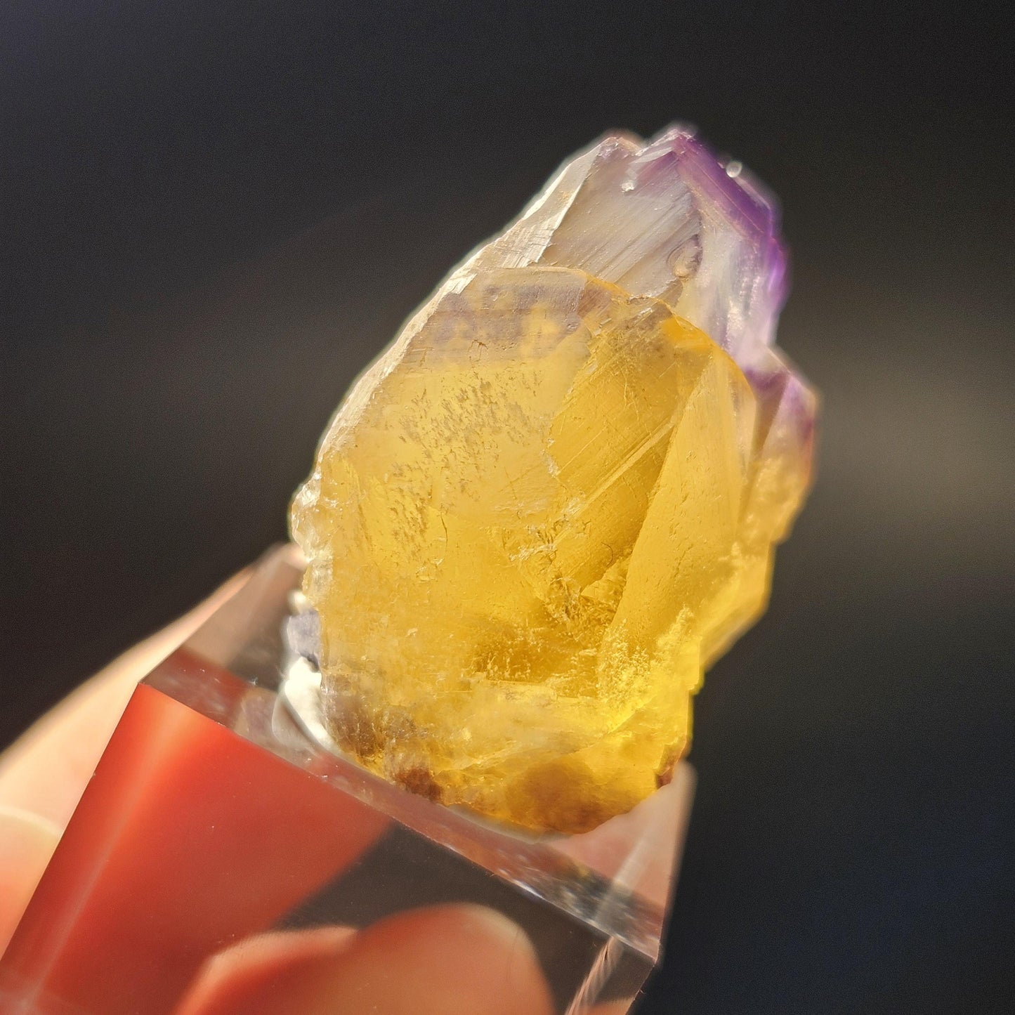 Purple & Yellow Bicolor Fluorite