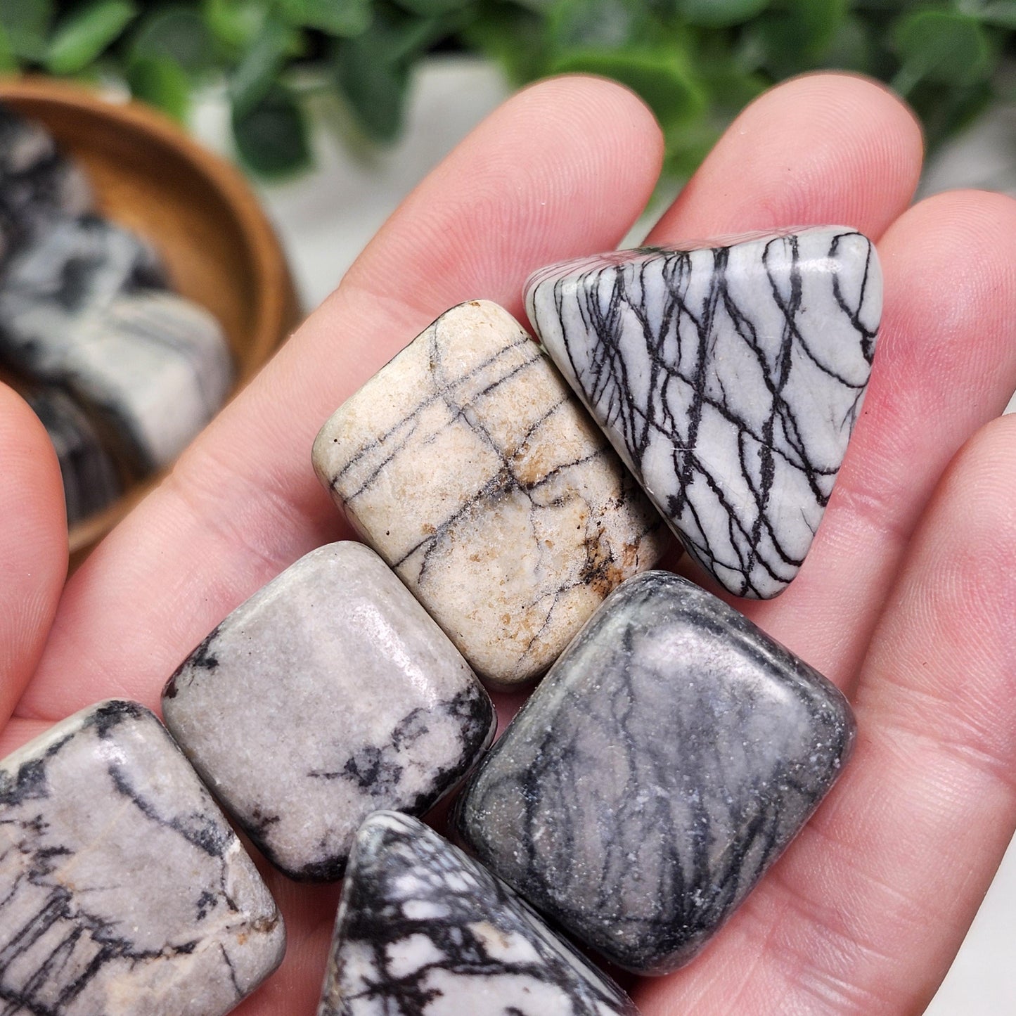 Spider Web Jasper Crystal