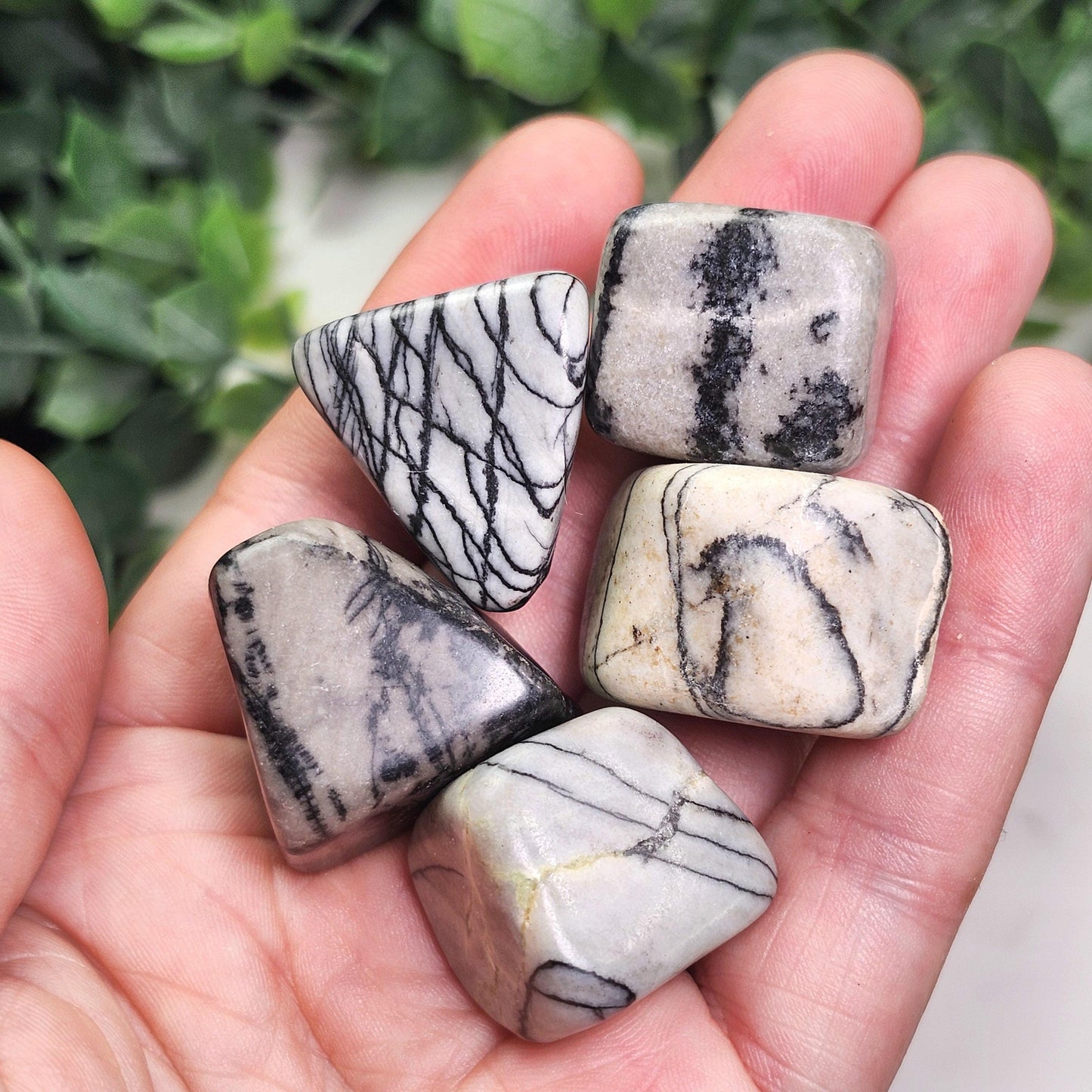 Spider Web Jasper Crystal