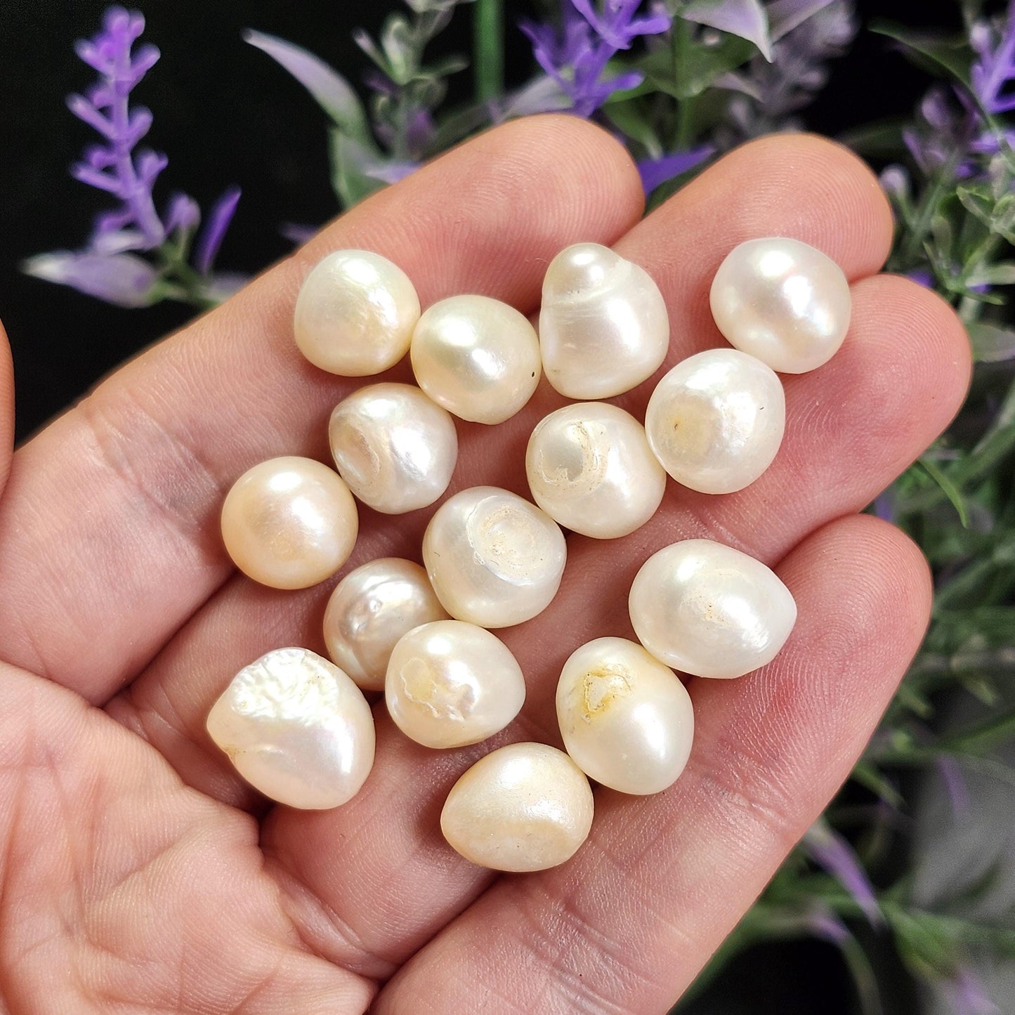 Natural Pearl