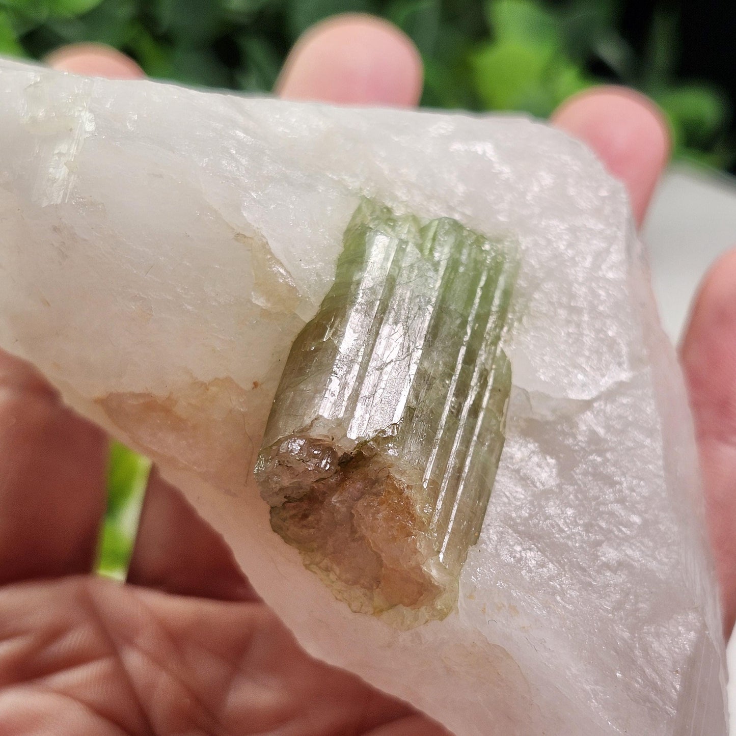Watermelon Tourmaline & Quartz Crystal 203g