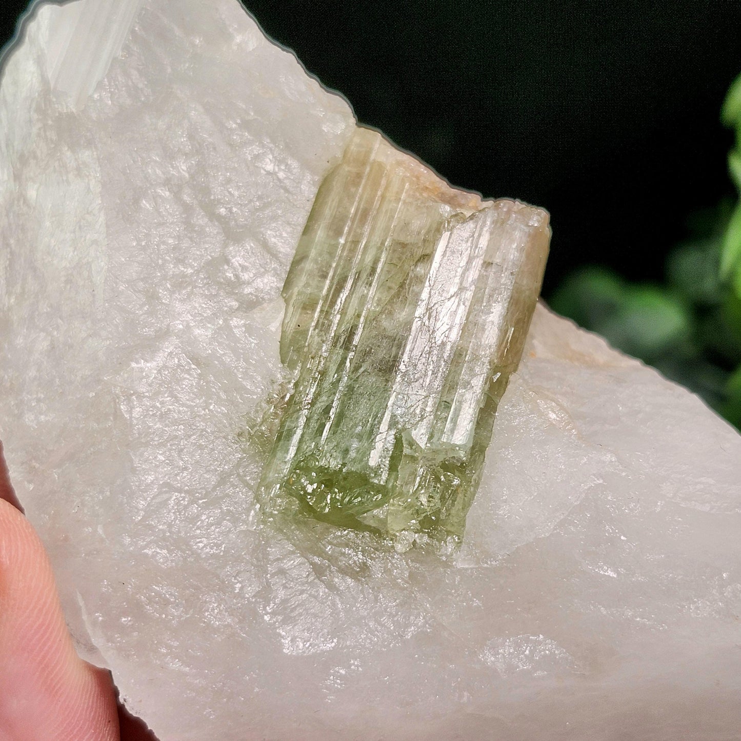 Watermelon Tourmaline & Quartz Crystal 203g