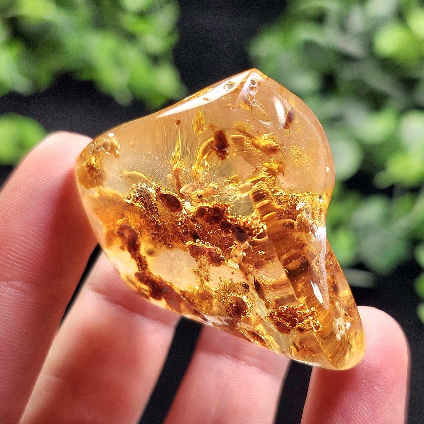 Amber with Bugs & Static ENHYDRO