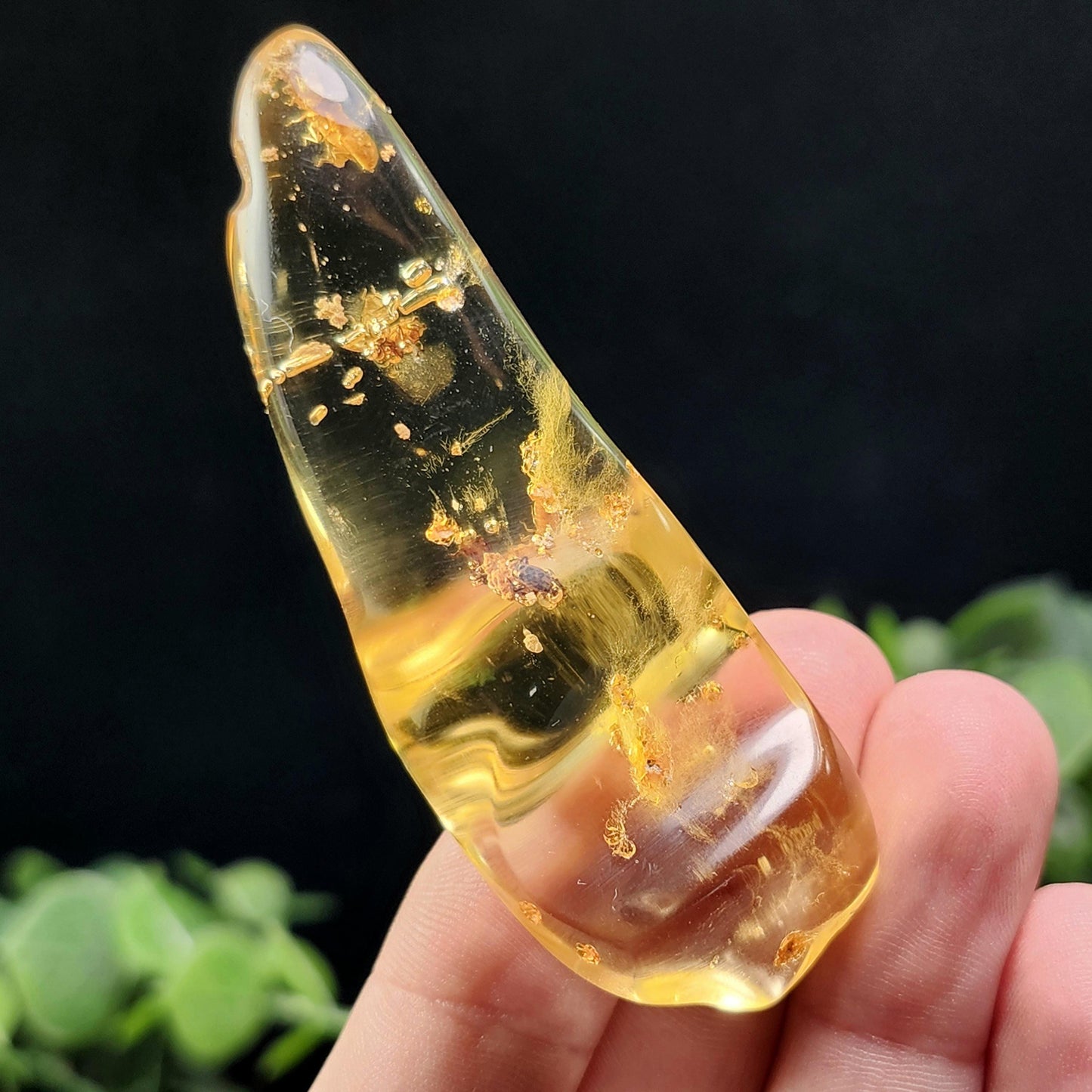Amber with Bugs & Static ENHYDRO