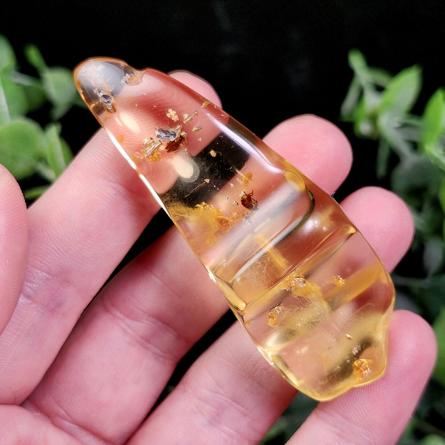 Amber with Bugs & Static ENHYDRO