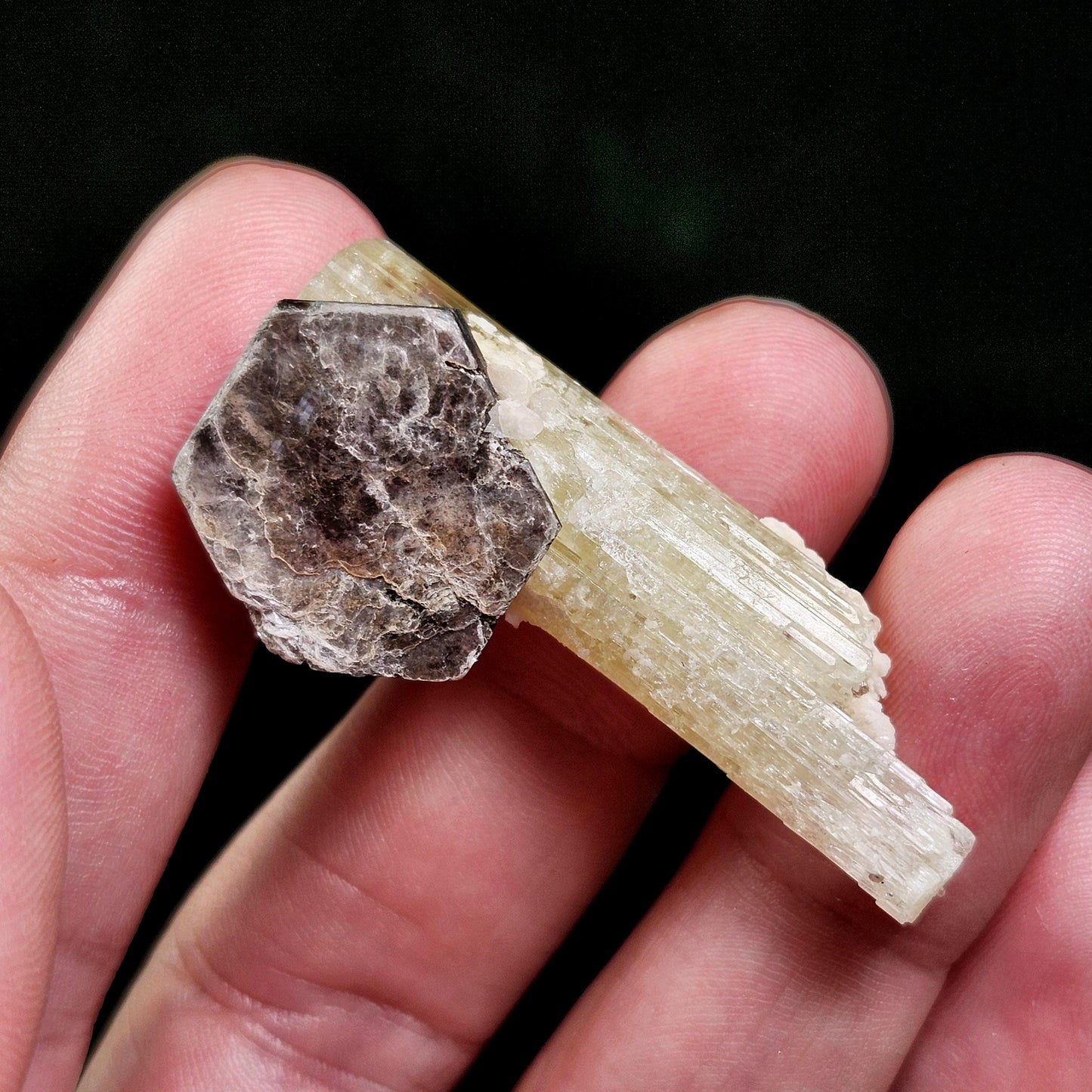 Golden Heliodor & Hexagonal Mica (9.4g)