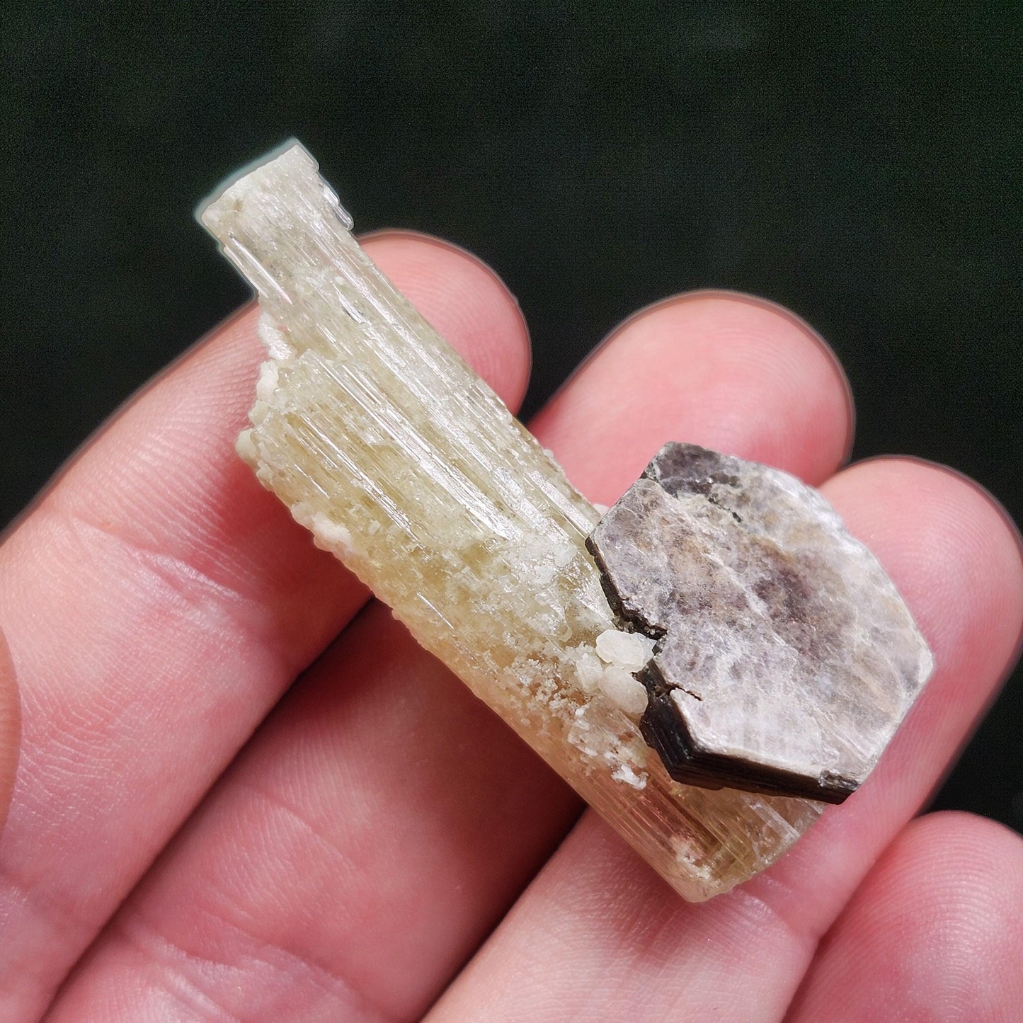 Golden Heliodor & Hexagonal Mica (9.4g)