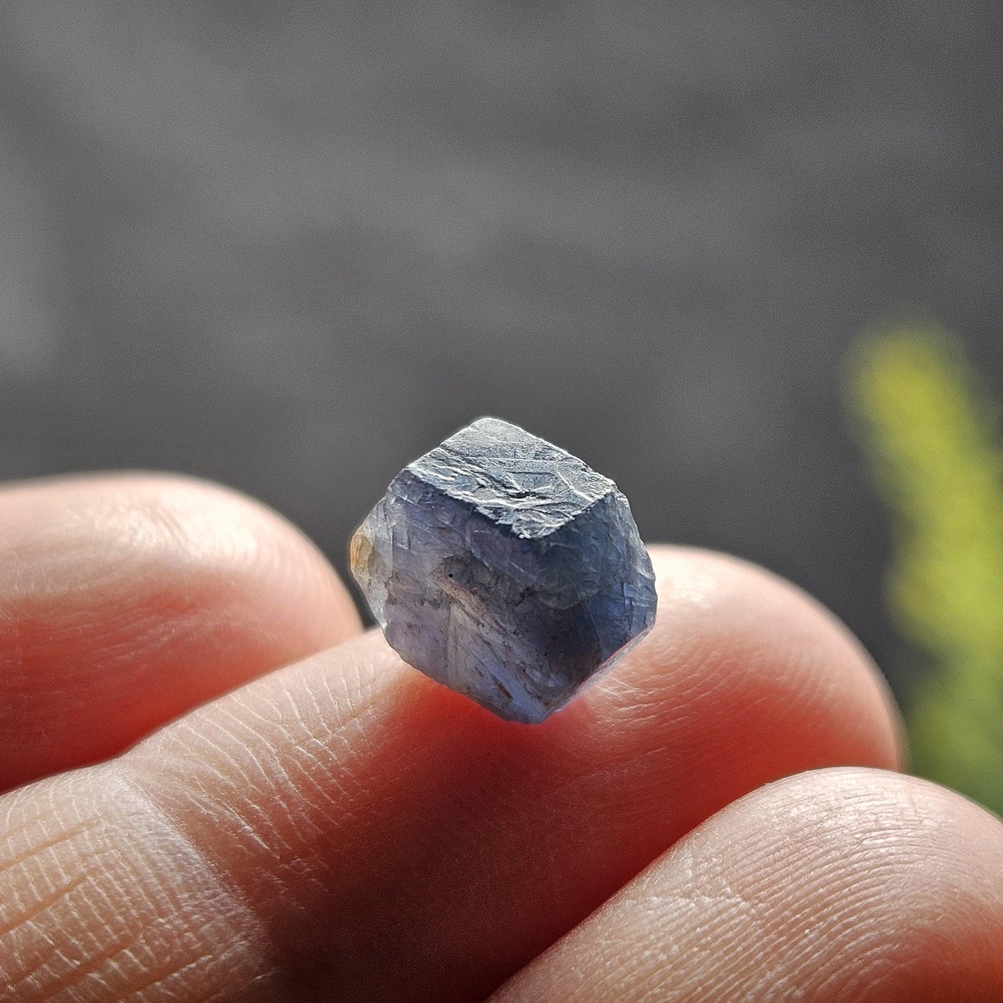 Himalayan Sapphire