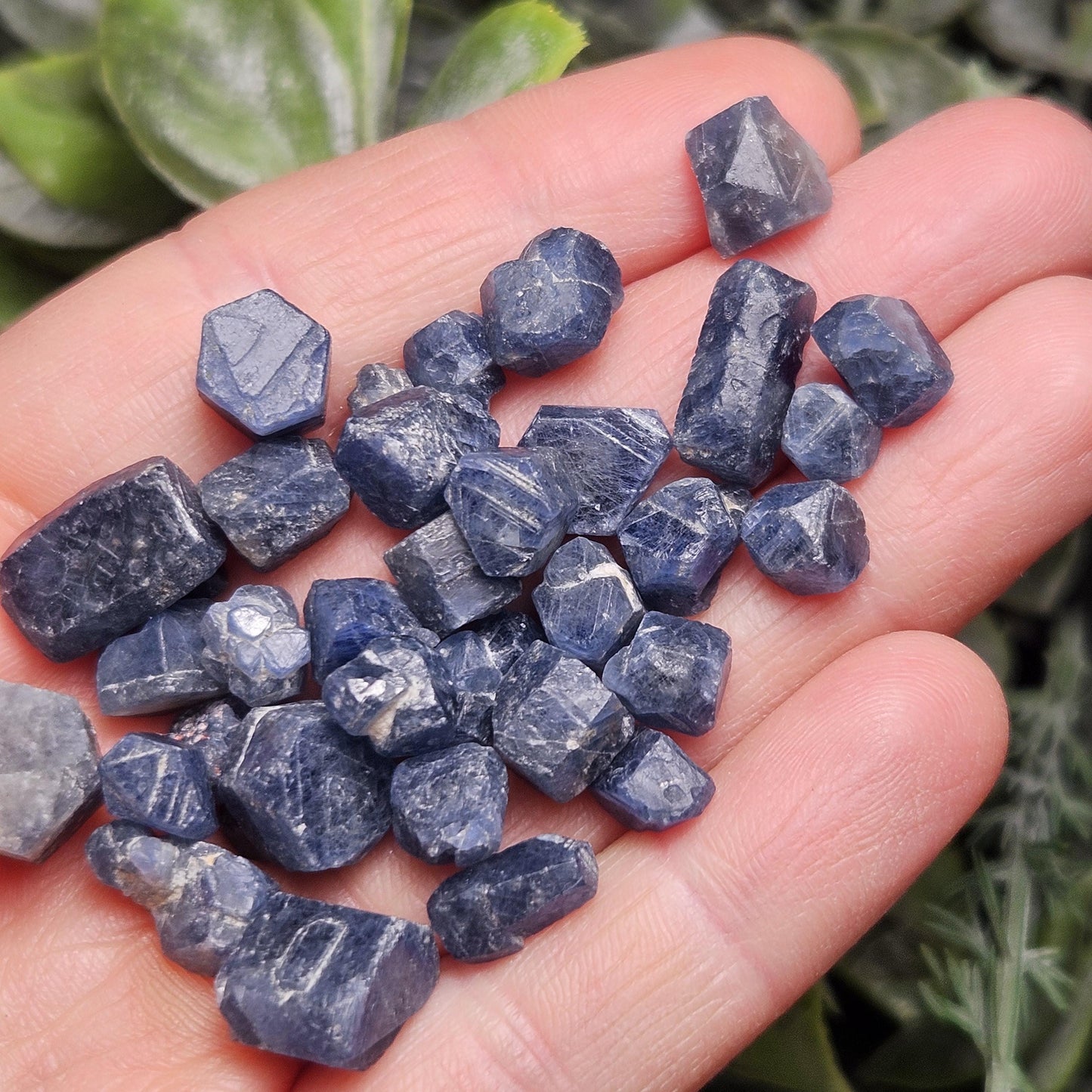 Himalayan Sapphire