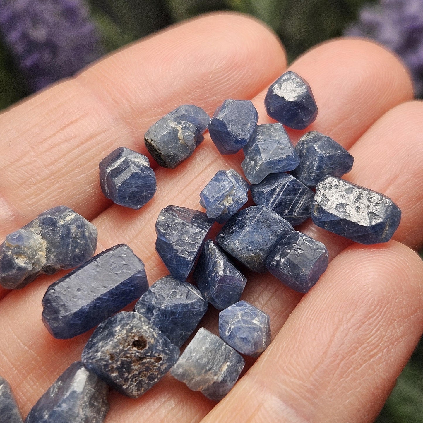 Himalayan Sapphire