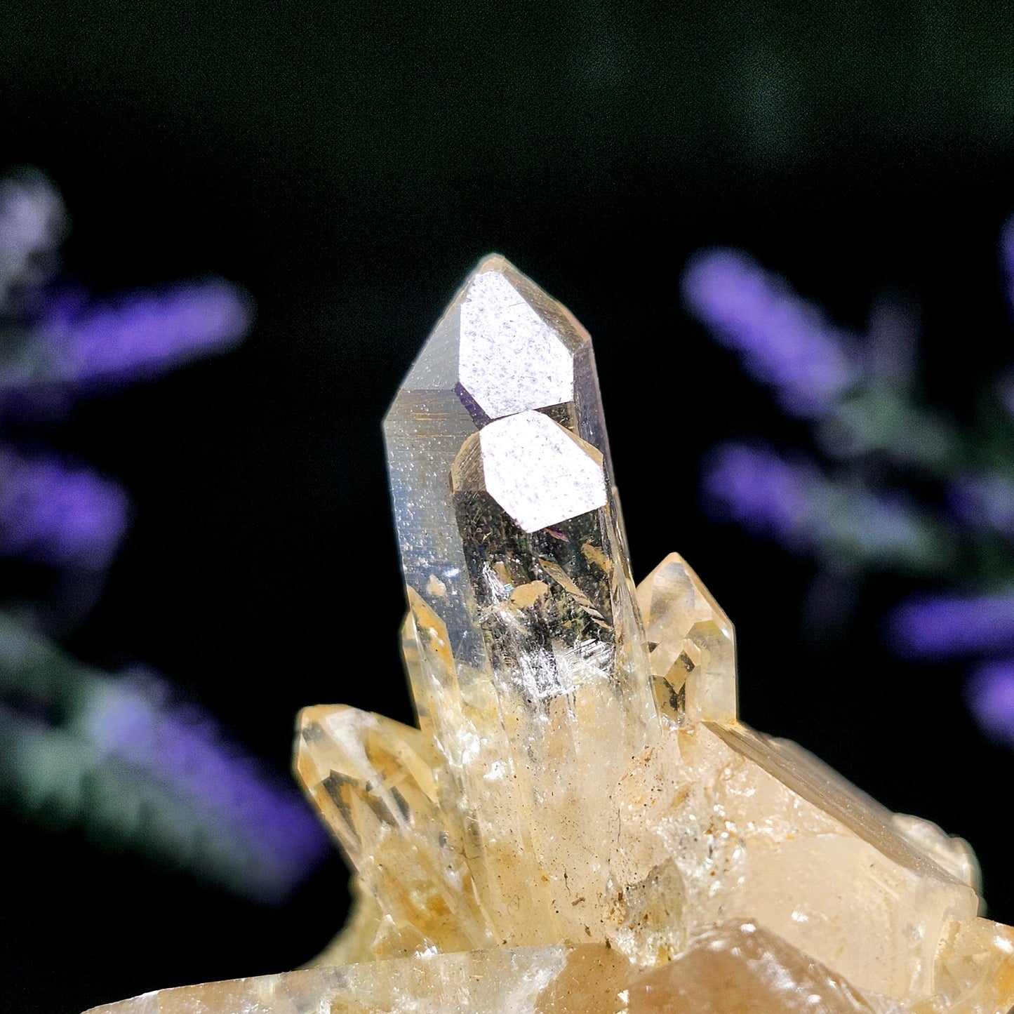 Golden Lemurian Quartz Cluster 122g