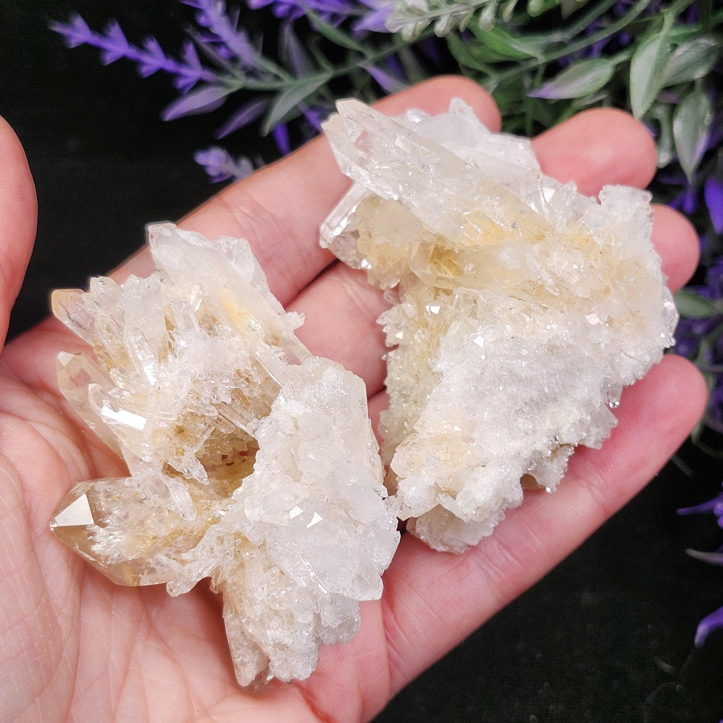 Lemurian Quartz Cluster