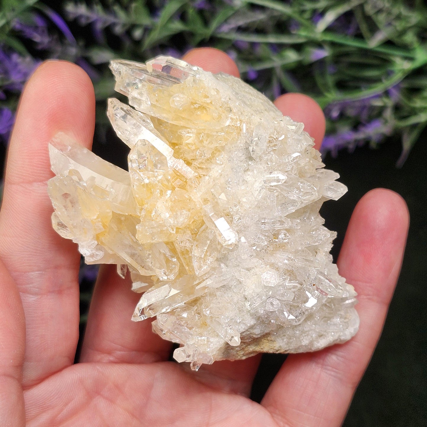 Lemurian Quartz Cluster 99g