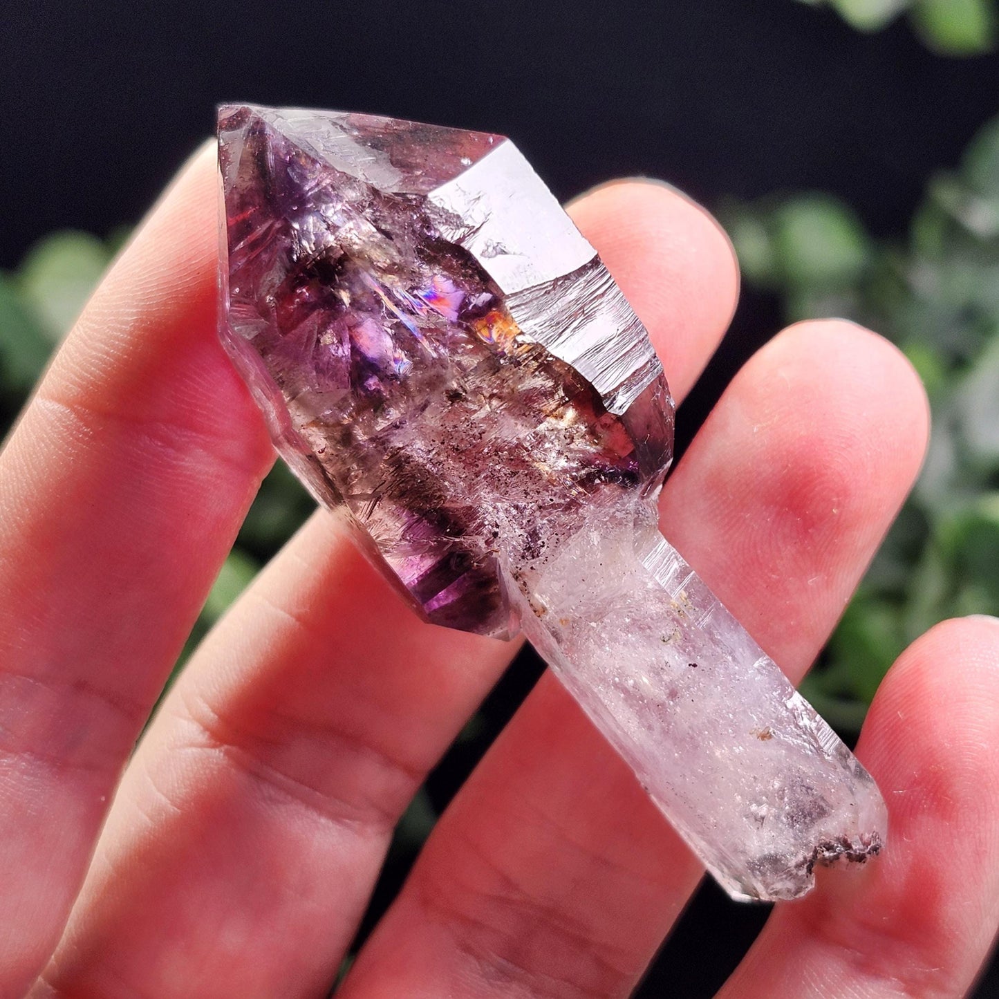 ENHYDRO Shangaan Scepter Amethyst