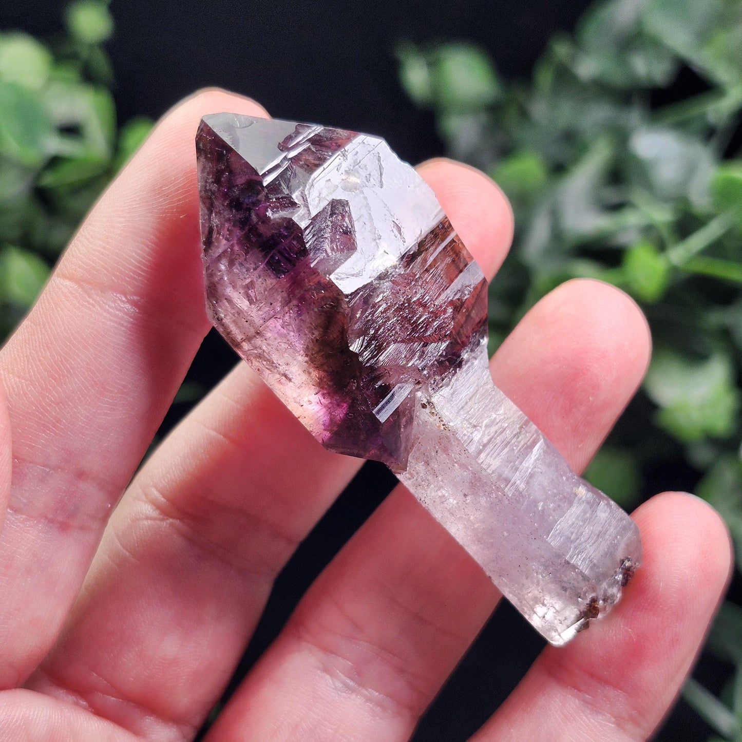 ENHYDRO Shangaan Scepter Amethyst
