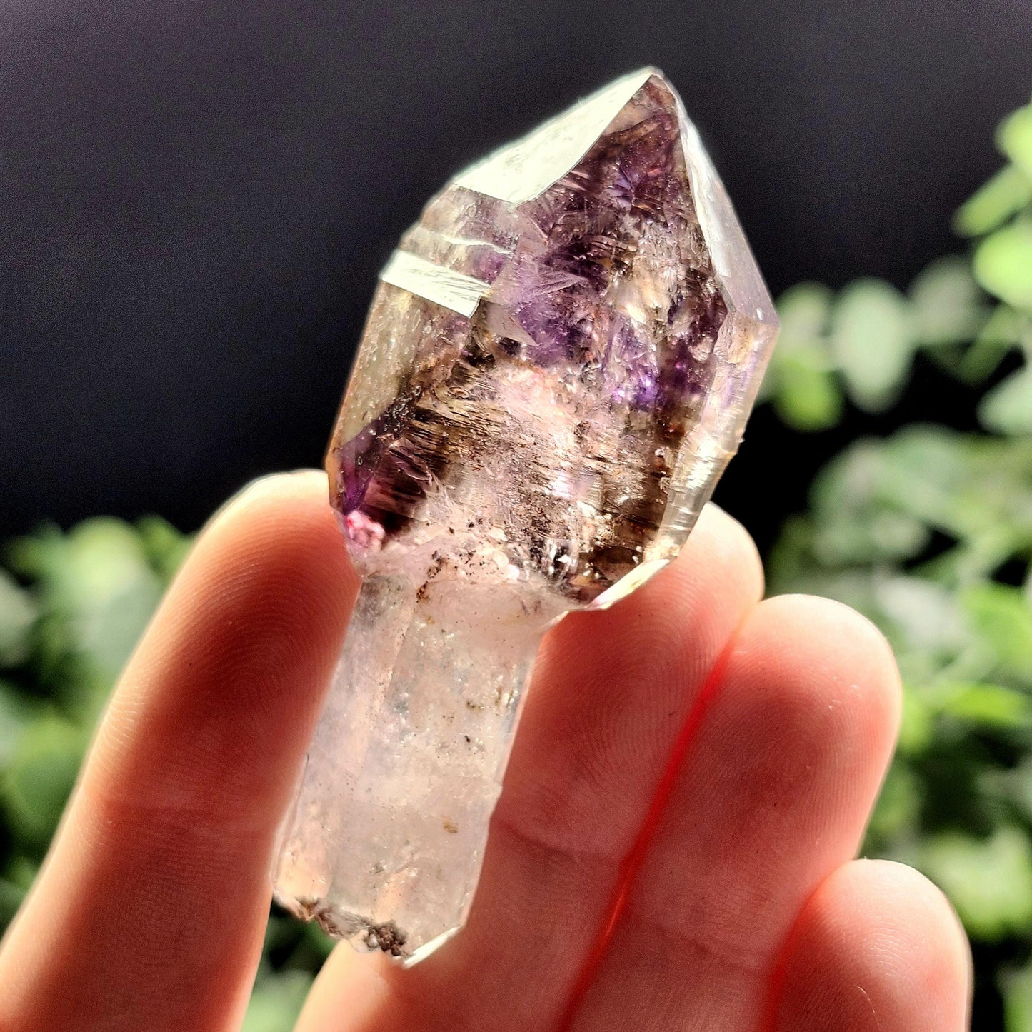 ENHYDRO Shangaan Scepter Amethyst