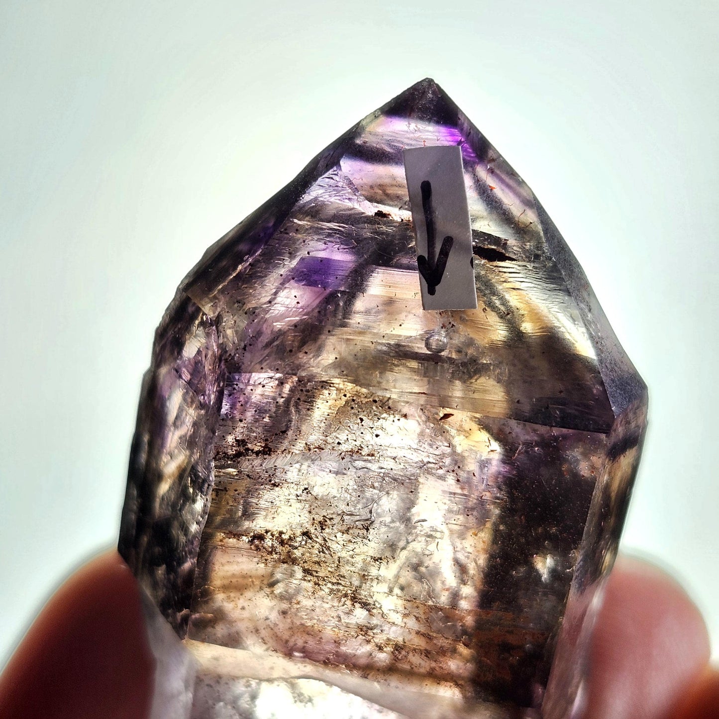 ENHYDRO Scepter Amethyst