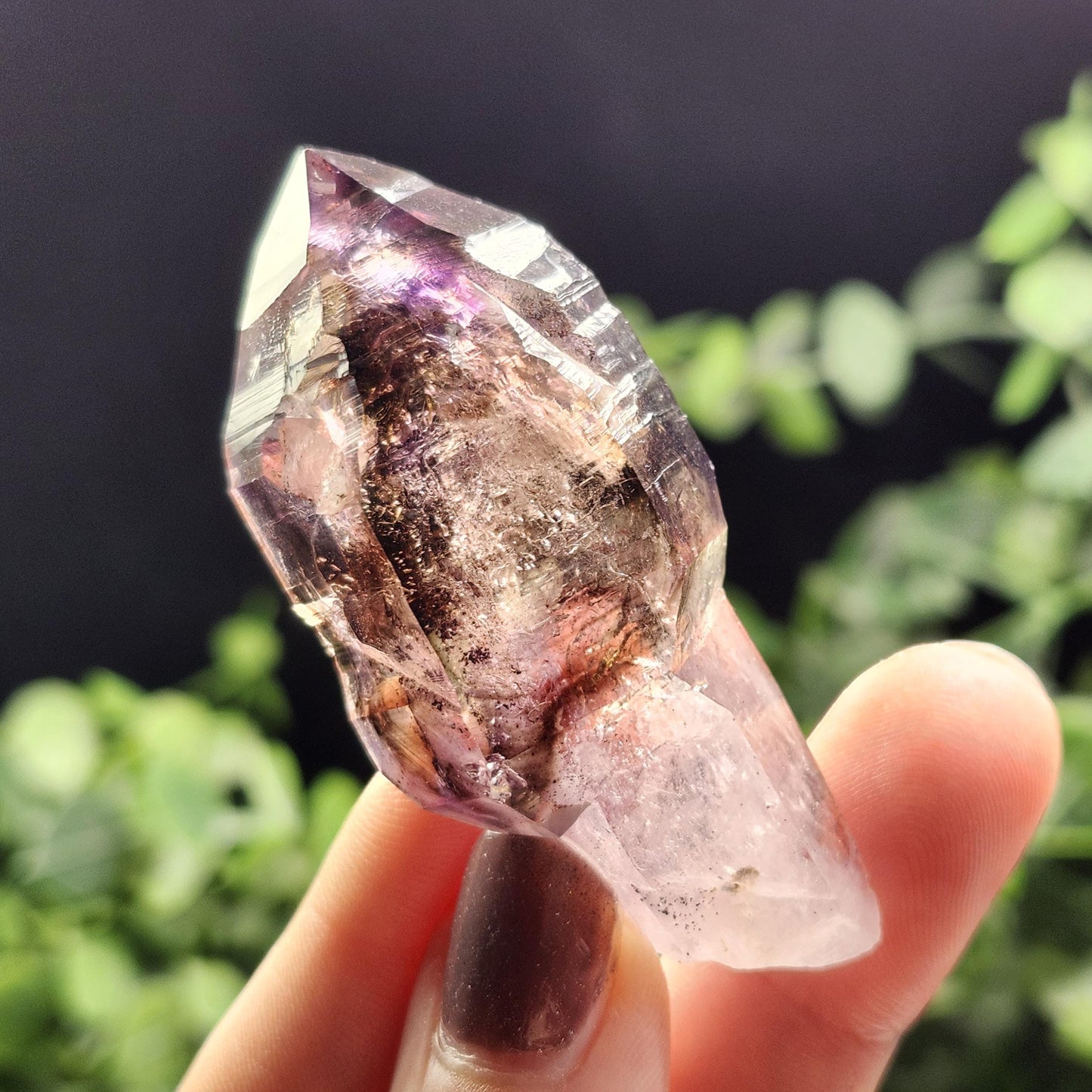 ENHYDRO Scepter Amethyst